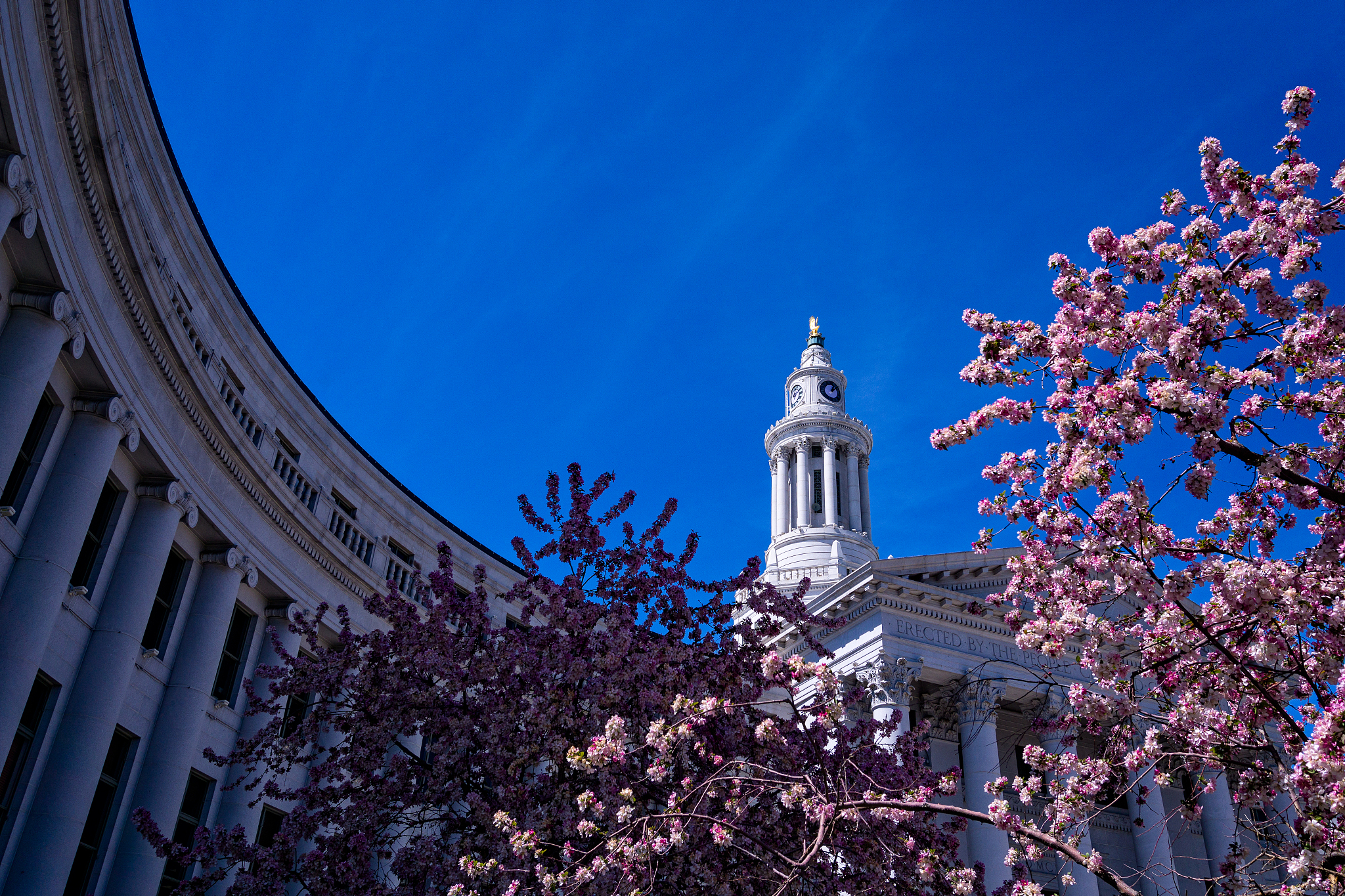 denver city and county building in spring