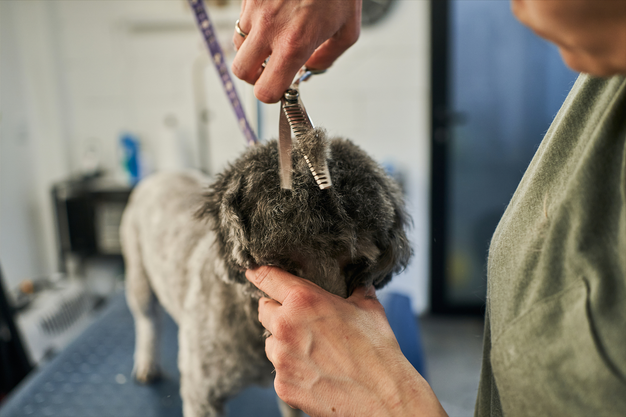 昆明卫生职业学院五年制大专就业前景如何？