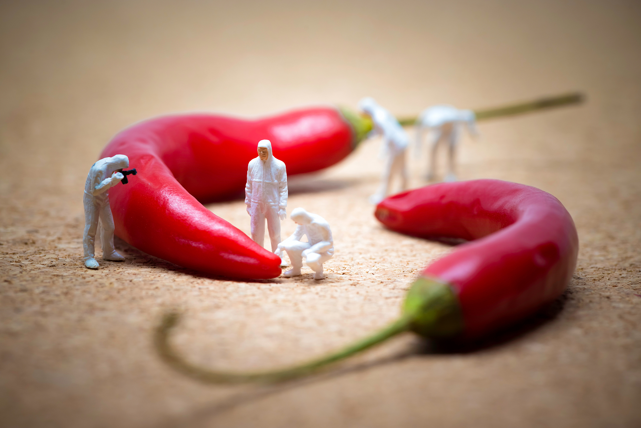 广西轻工技师学院特色专业介绍-培养高技能人才，助力产业发展