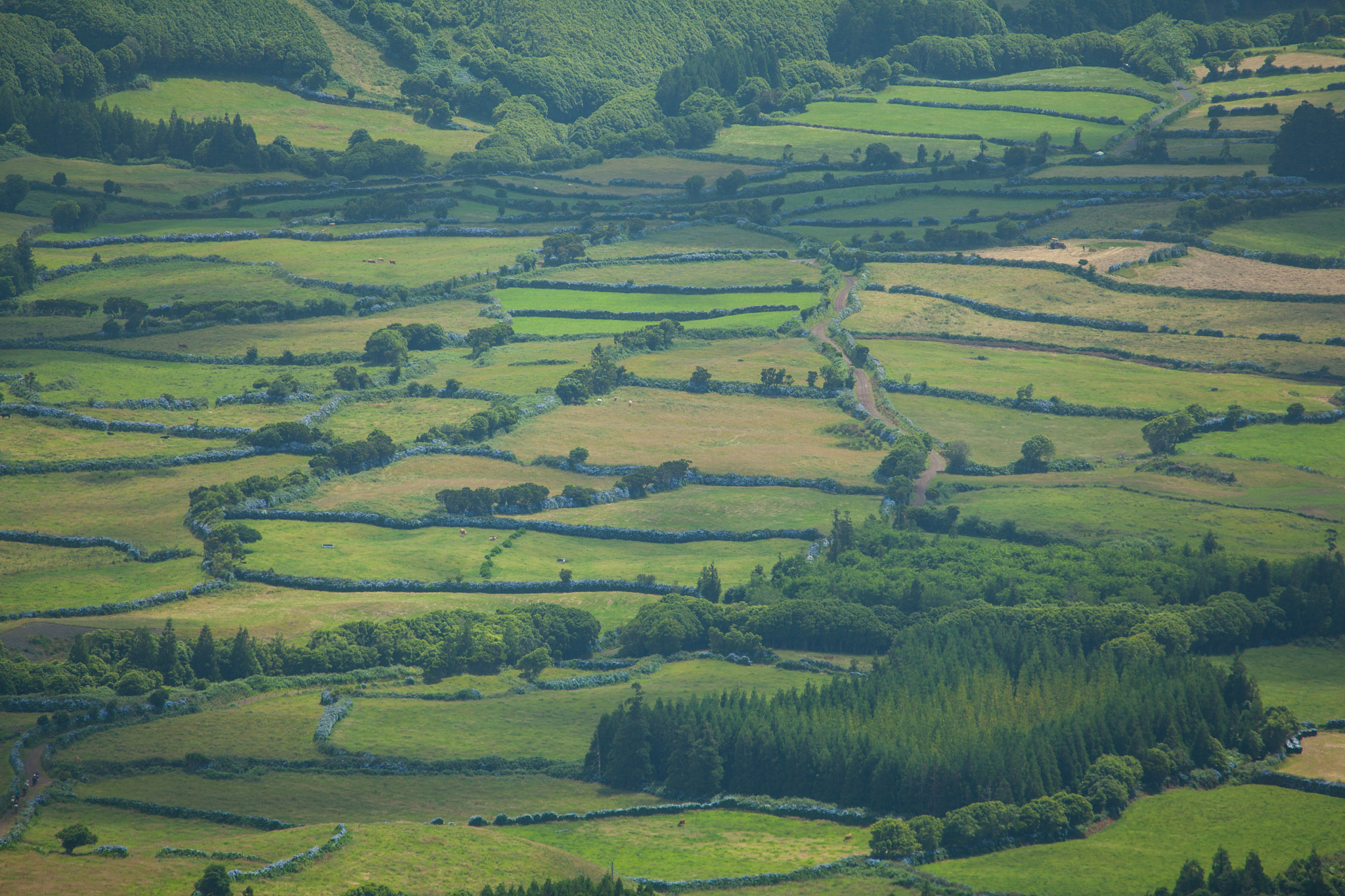 landscape on faial island