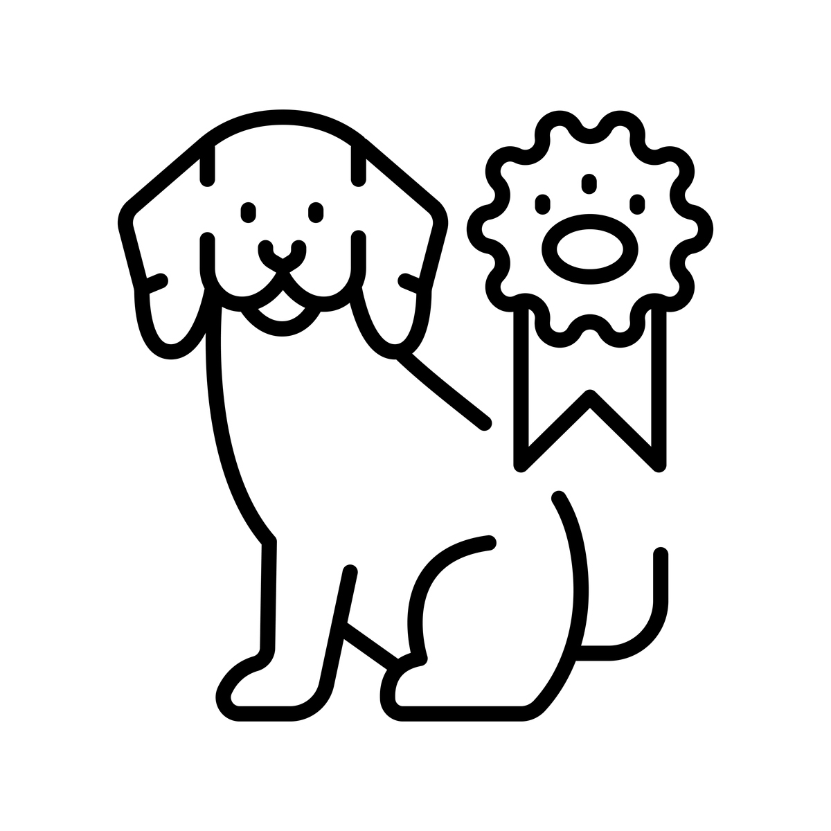简单易学的狗狗简笔画教程：一步一步教你画一只可爱的狗狗