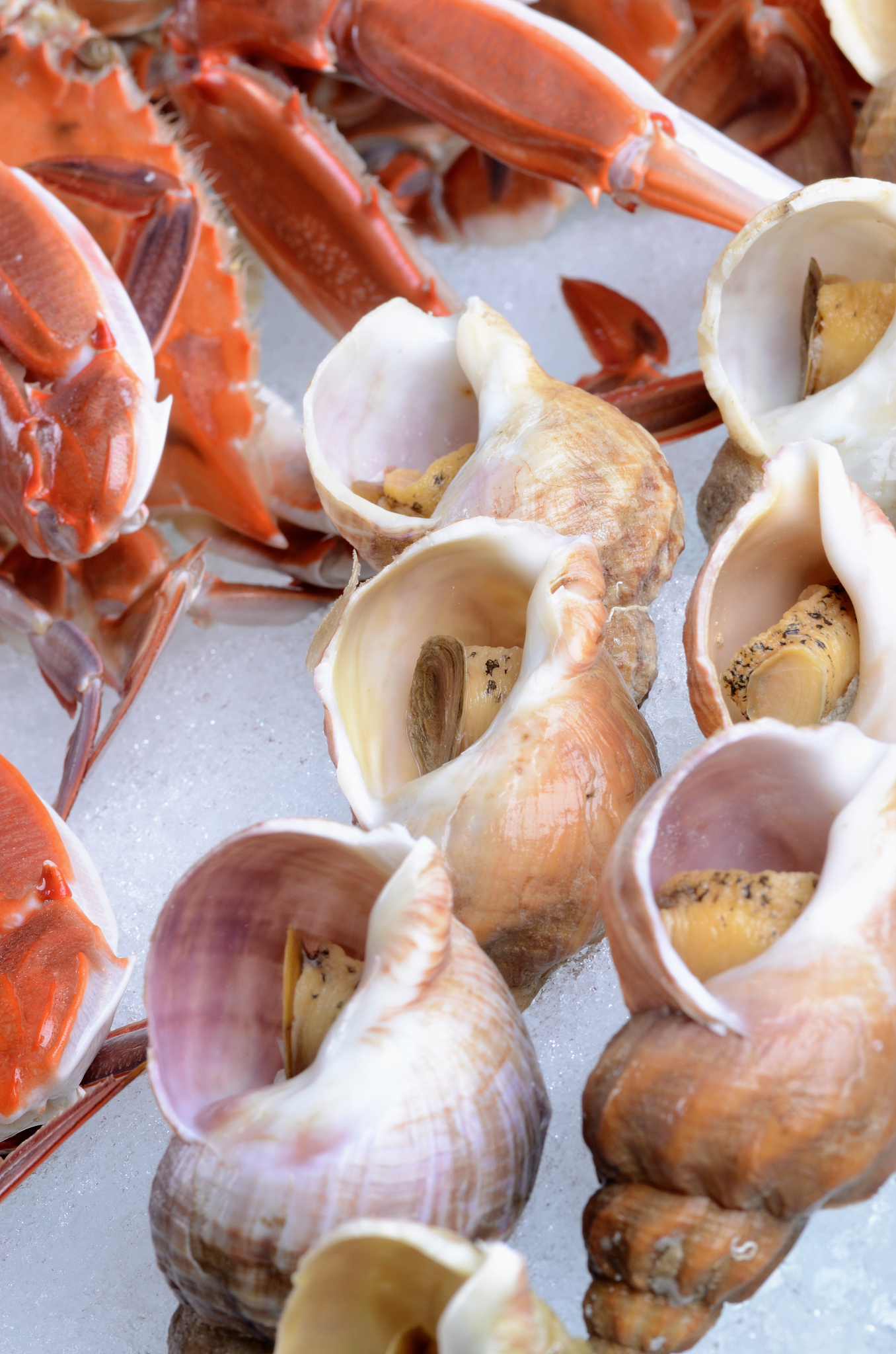 请650字的博客文章主题是：海螺的吃法哪个部位不能吃