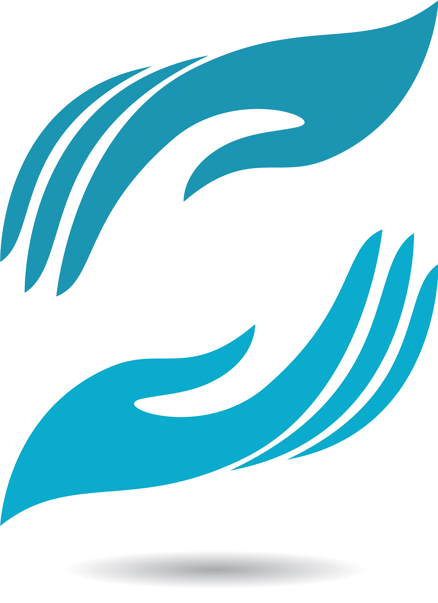 美容保健专业培养目标