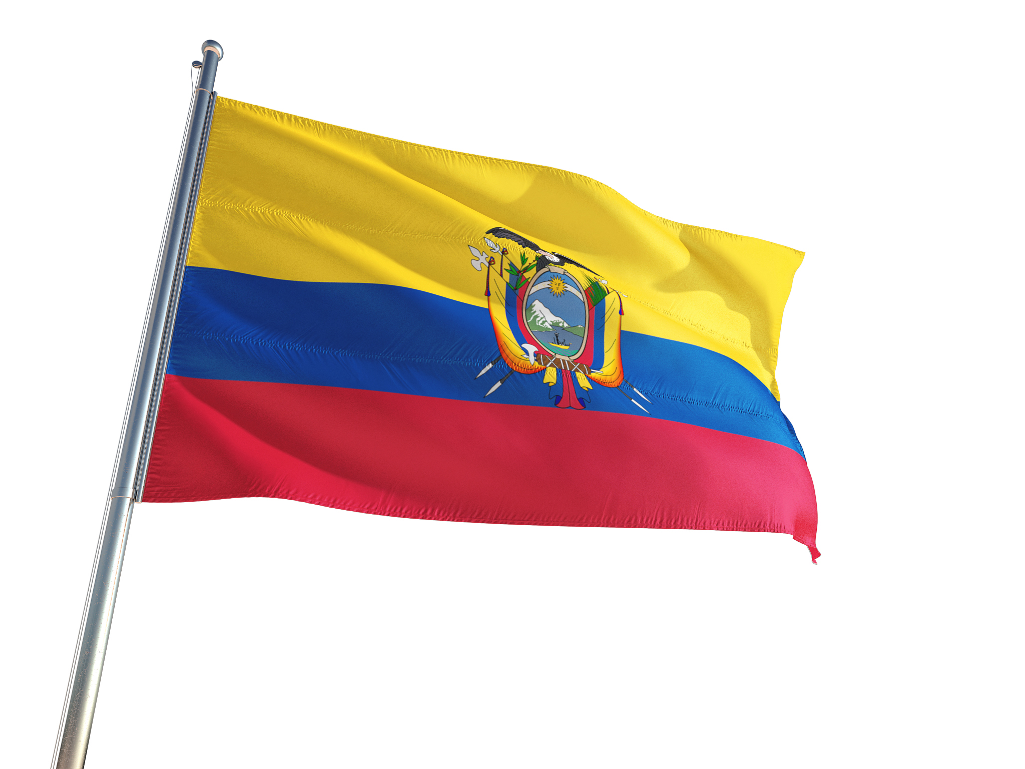 ecuador national flag waving in the wind, isolated white backgro