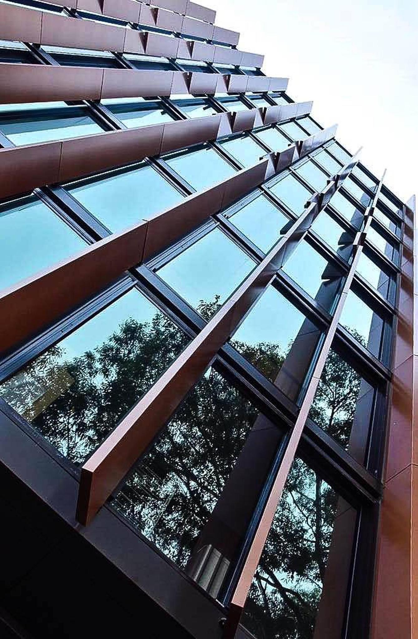 tree window