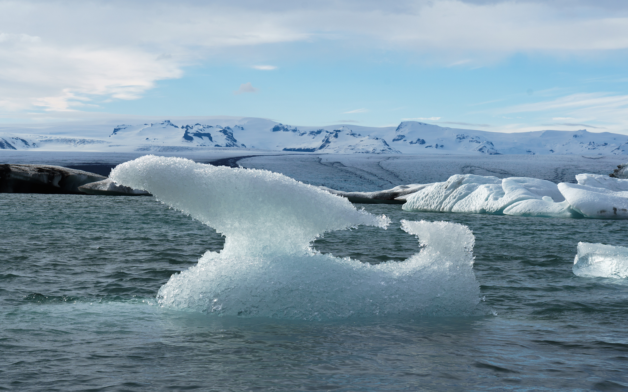 ice bird