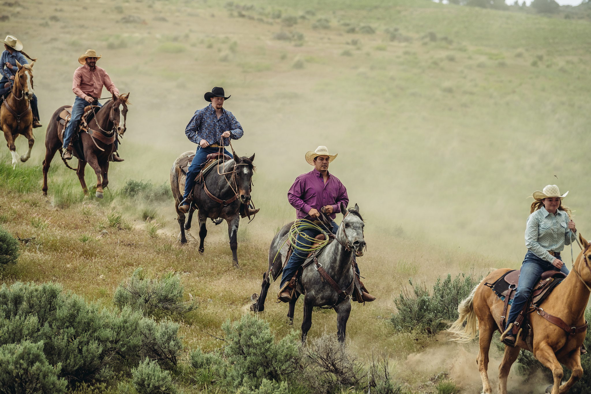 utah ranchers galloping on horses