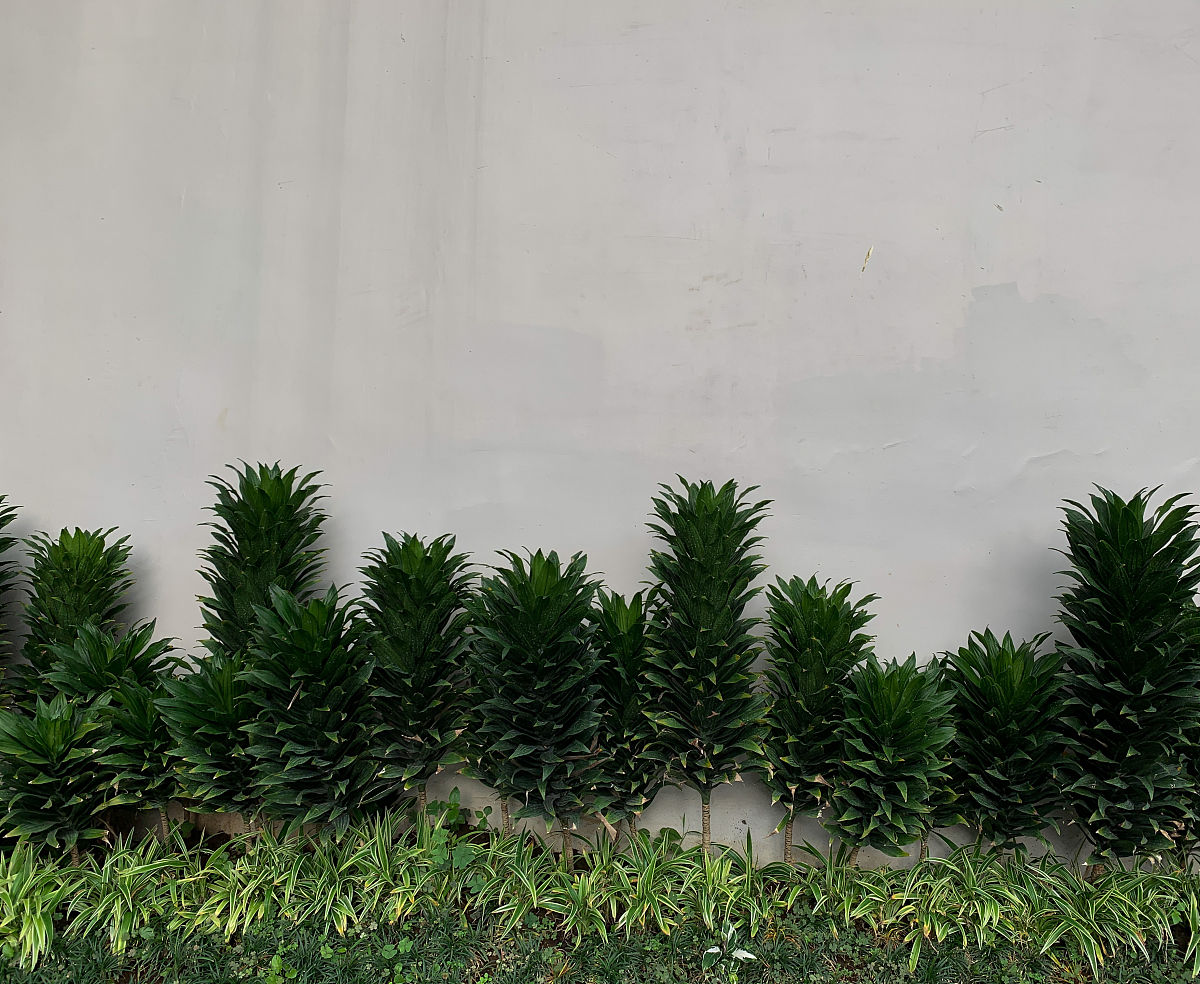 北京园林学校2023年新增专业：城市规划、生态环境、园林文化等