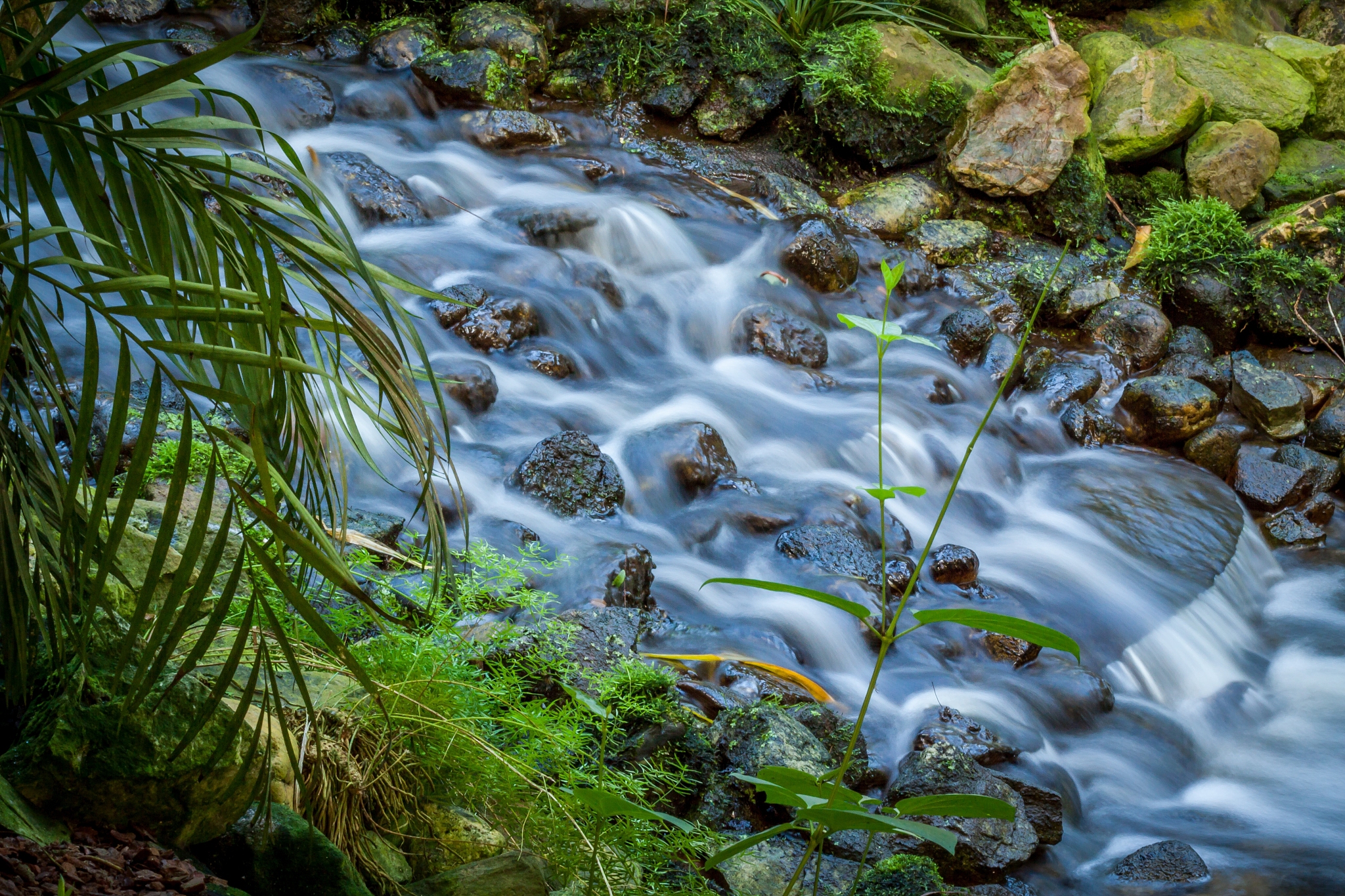 water stream
