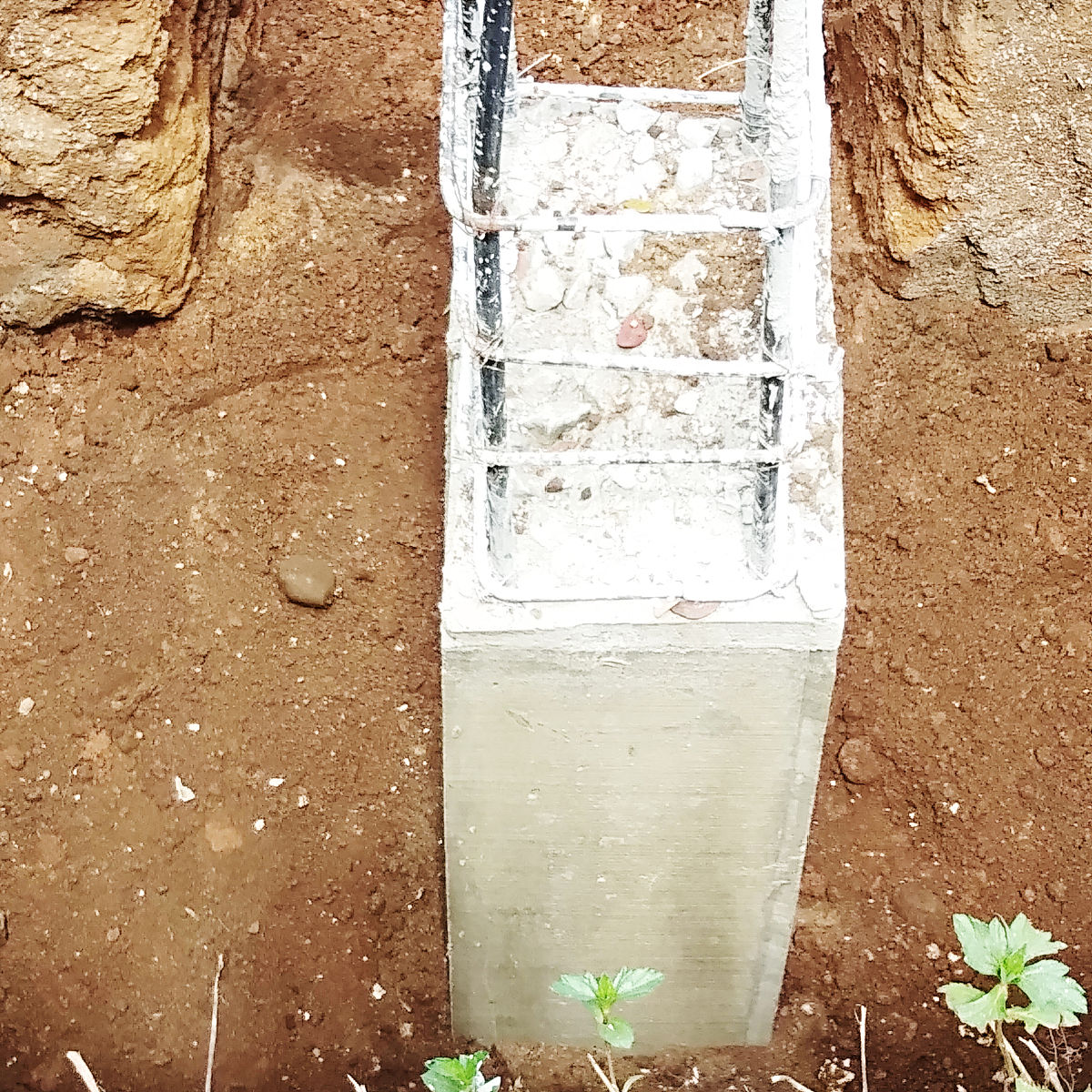 重庆市工业学校环境治理技术专业涉及哪些课程