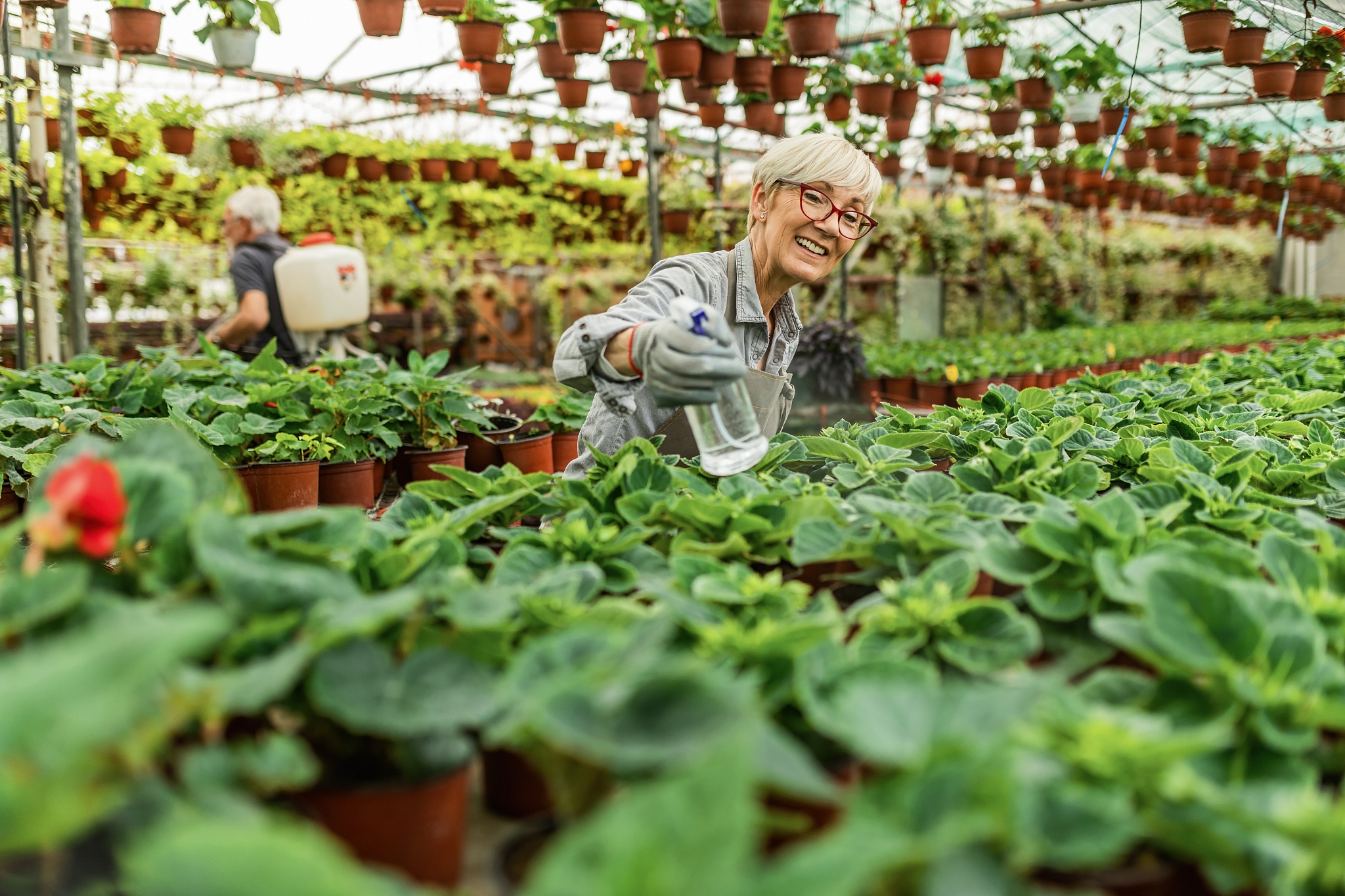 2019年云南省林业高级技工学校中草药种植专业解读