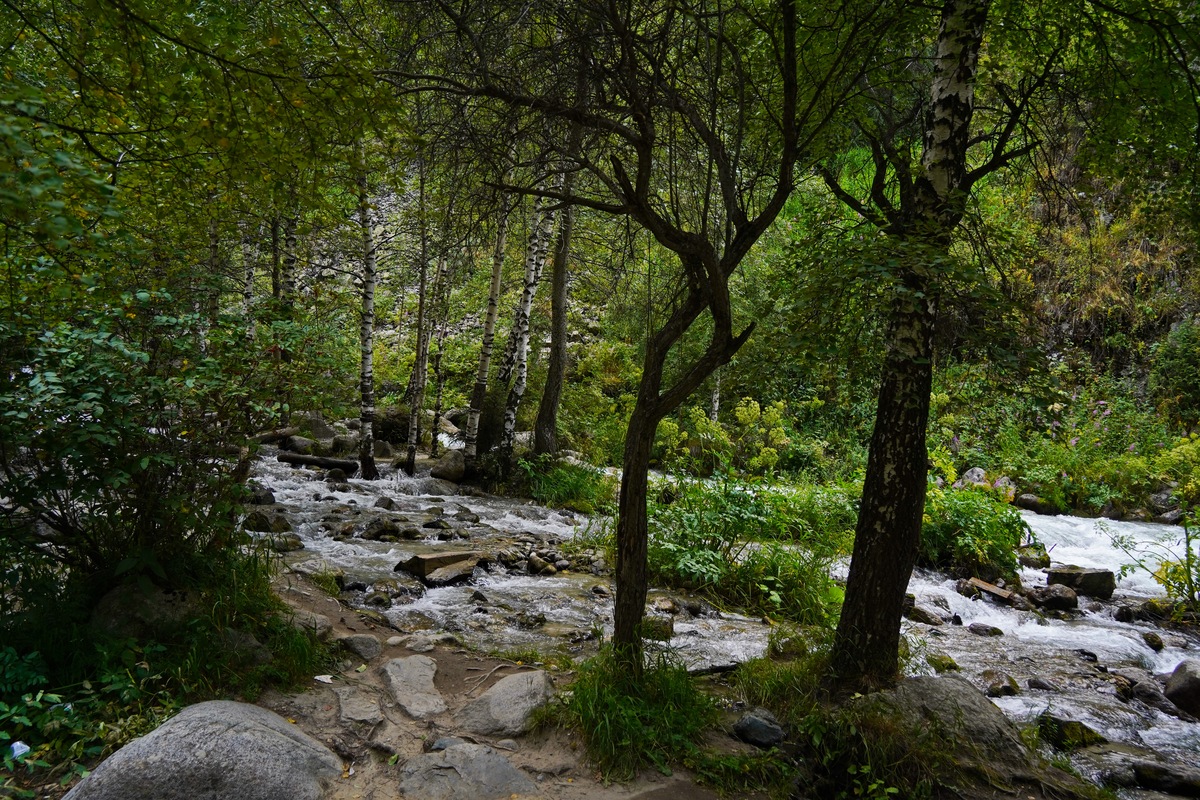 徒步穿越山林：感受大自然的魅力 | 旅游博主推荐