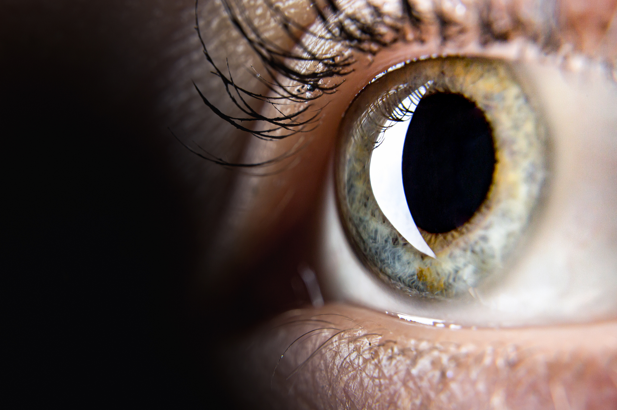 woman iris eye macro