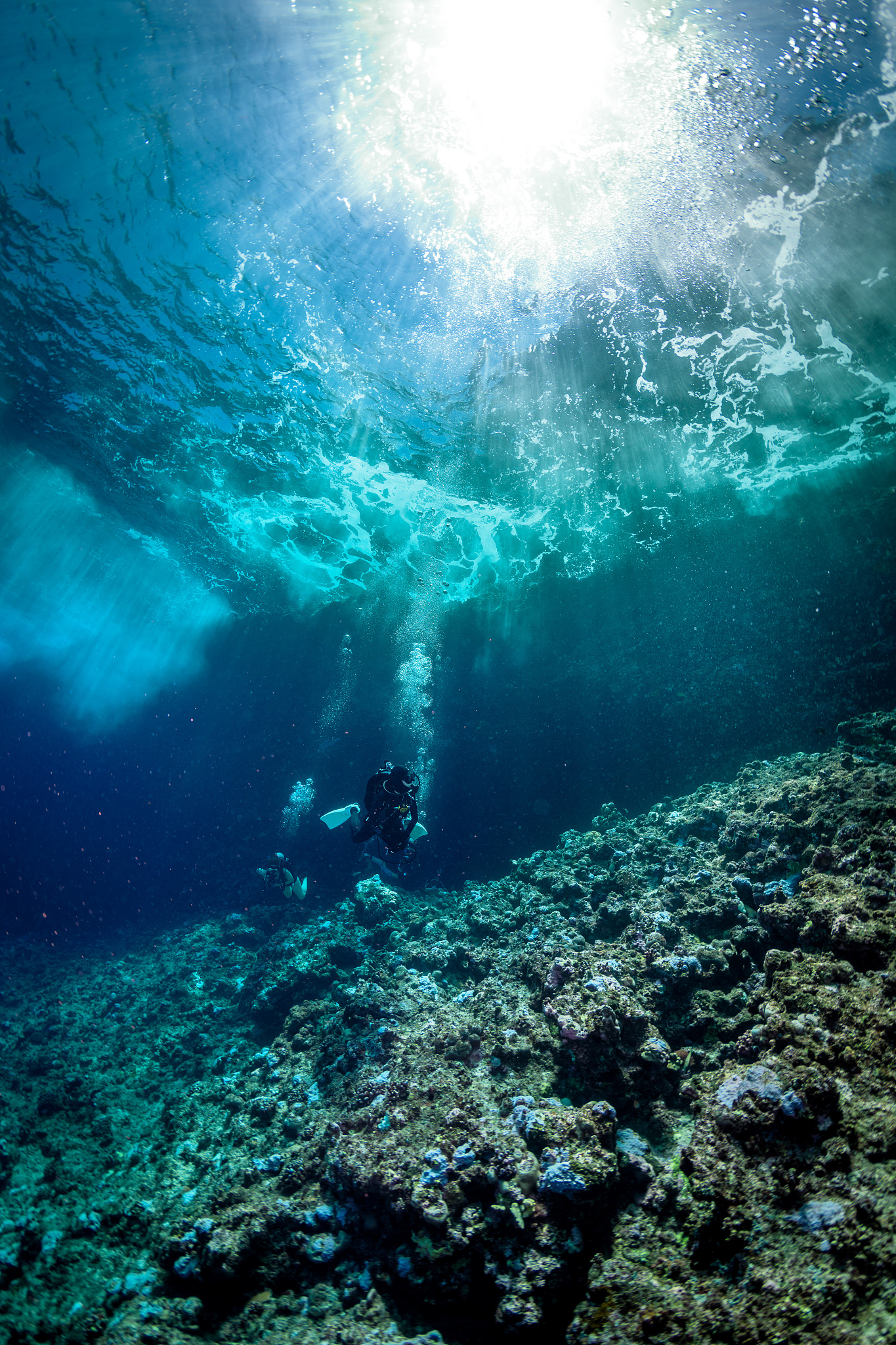 people swimming in sea