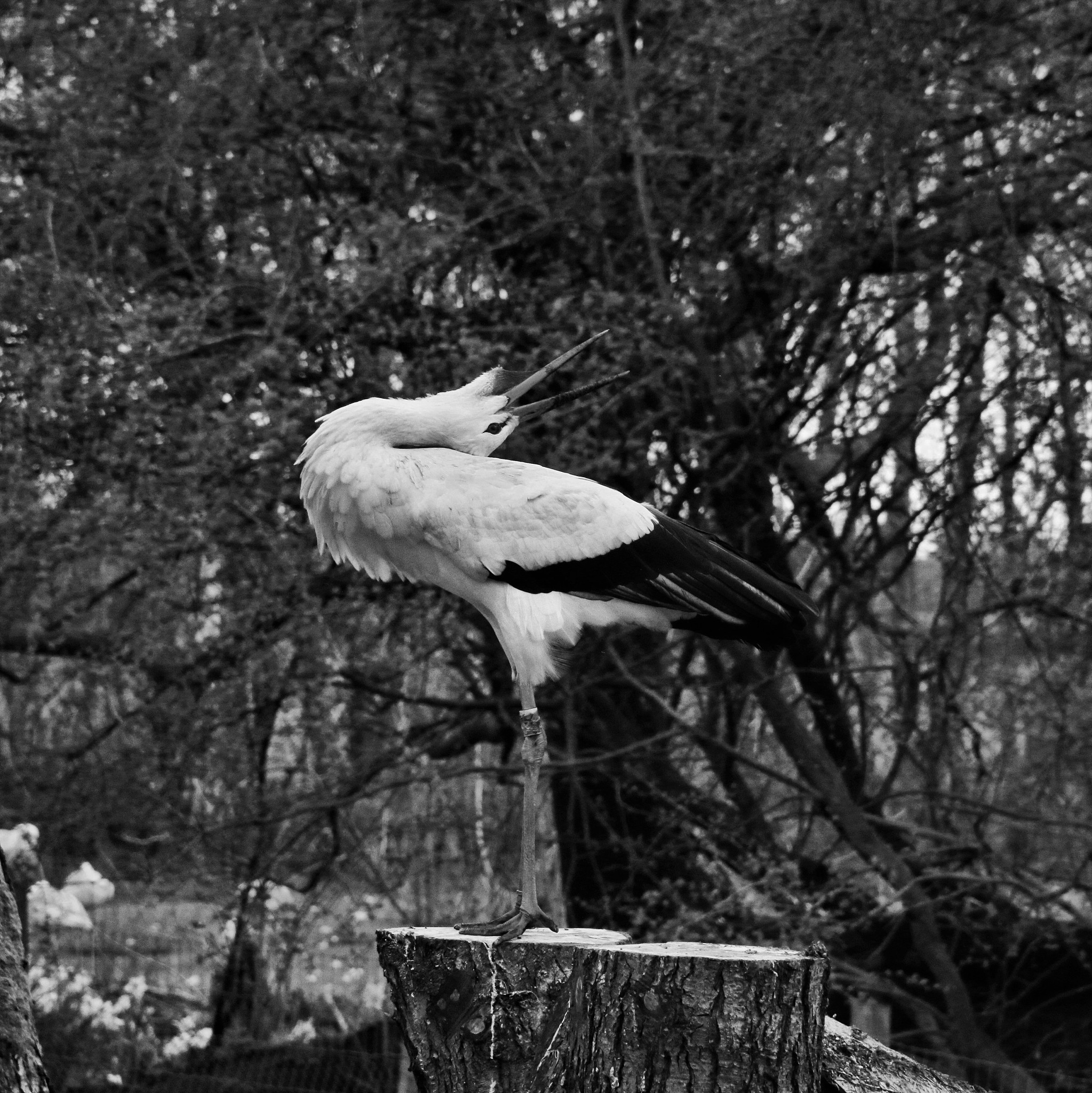 14寸照片尺寸：35.56cm x 27.94cm 详细解析