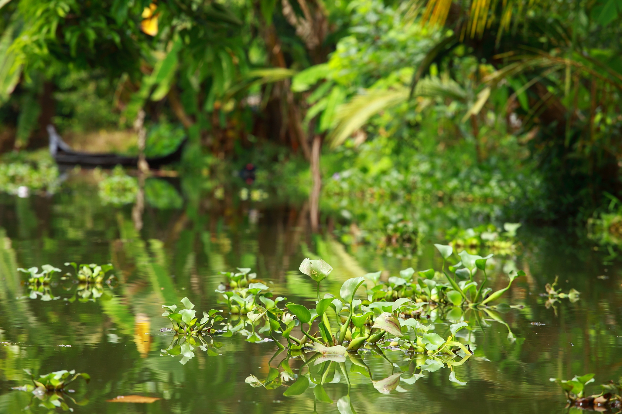 帮我输出印度的地理因素，如气候、海陆位置，和当地的特色