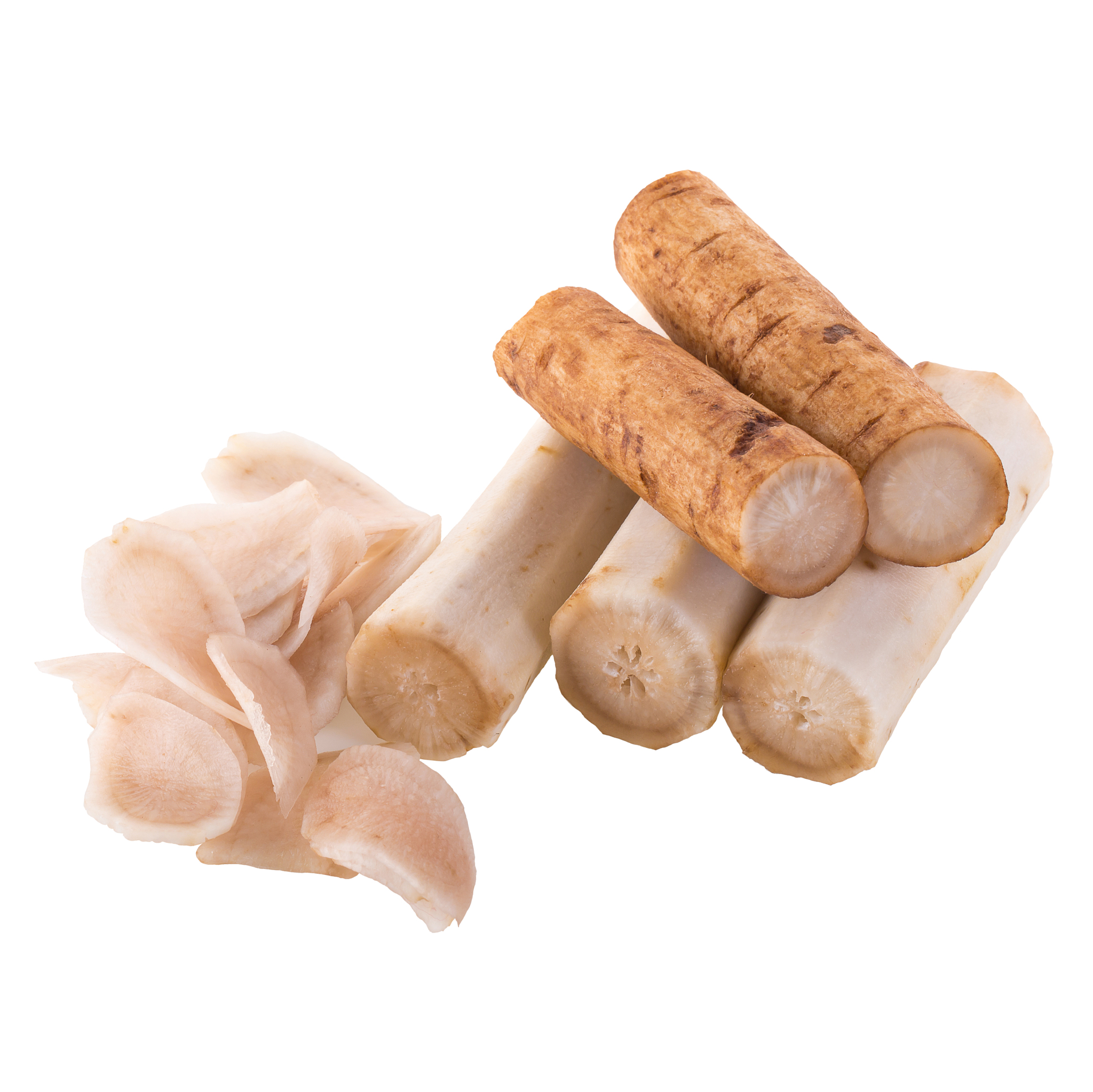 fresh burdock roots isolated on white background