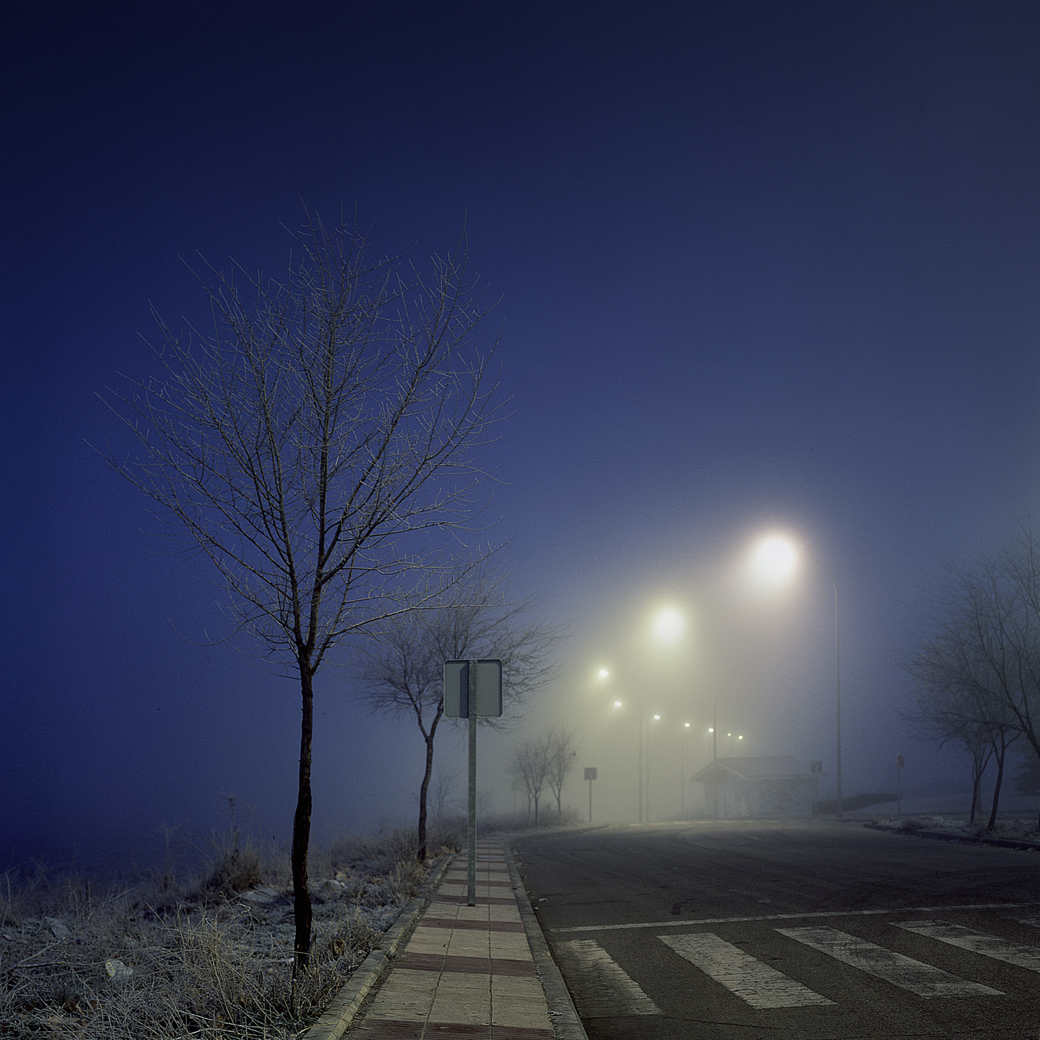 人生的选择：黑与白之间，如何抉择？