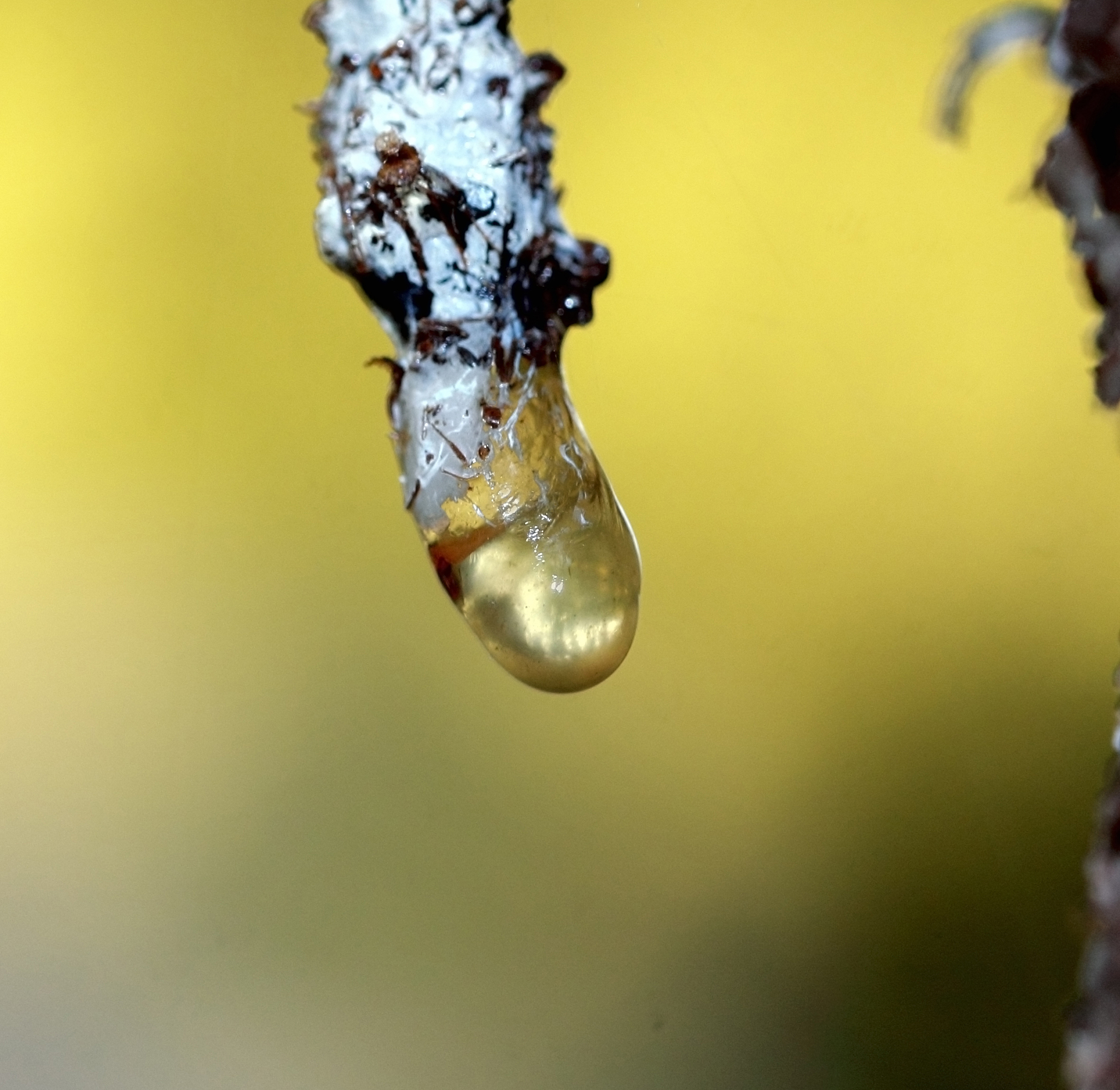 科学课学什么？