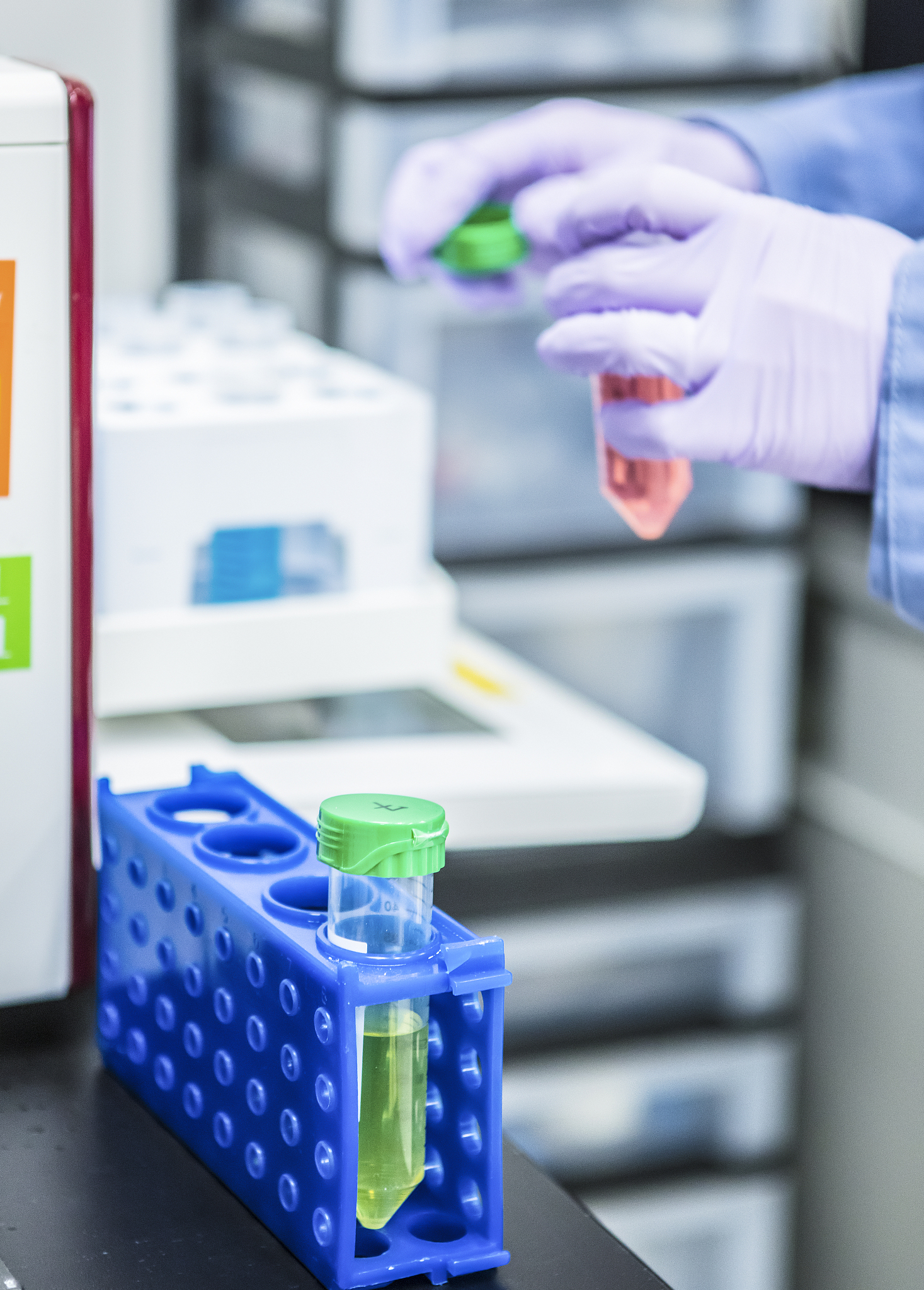 药理模型文章可以发哪些杂志