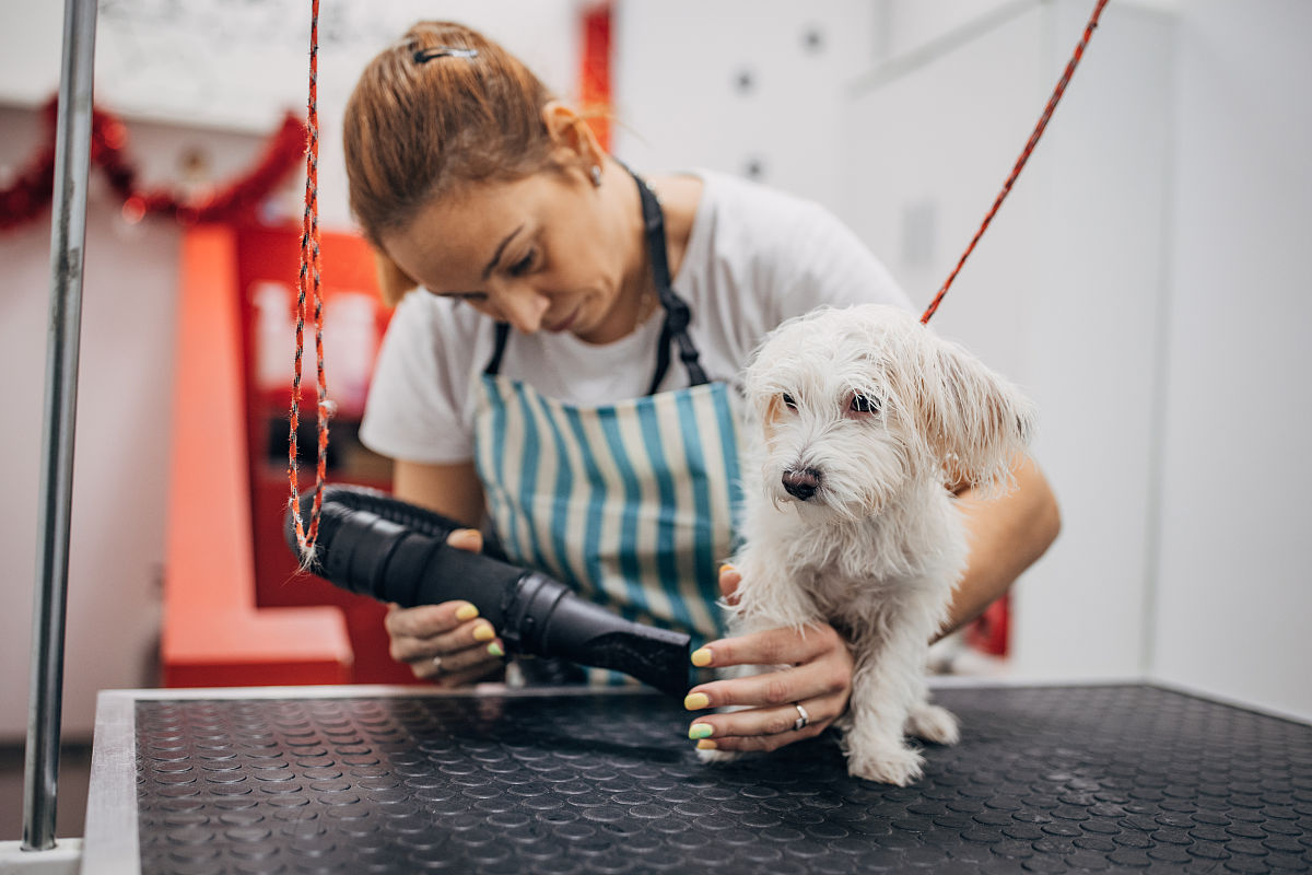 耐火水泥110度烘干要多久回答加拓展
