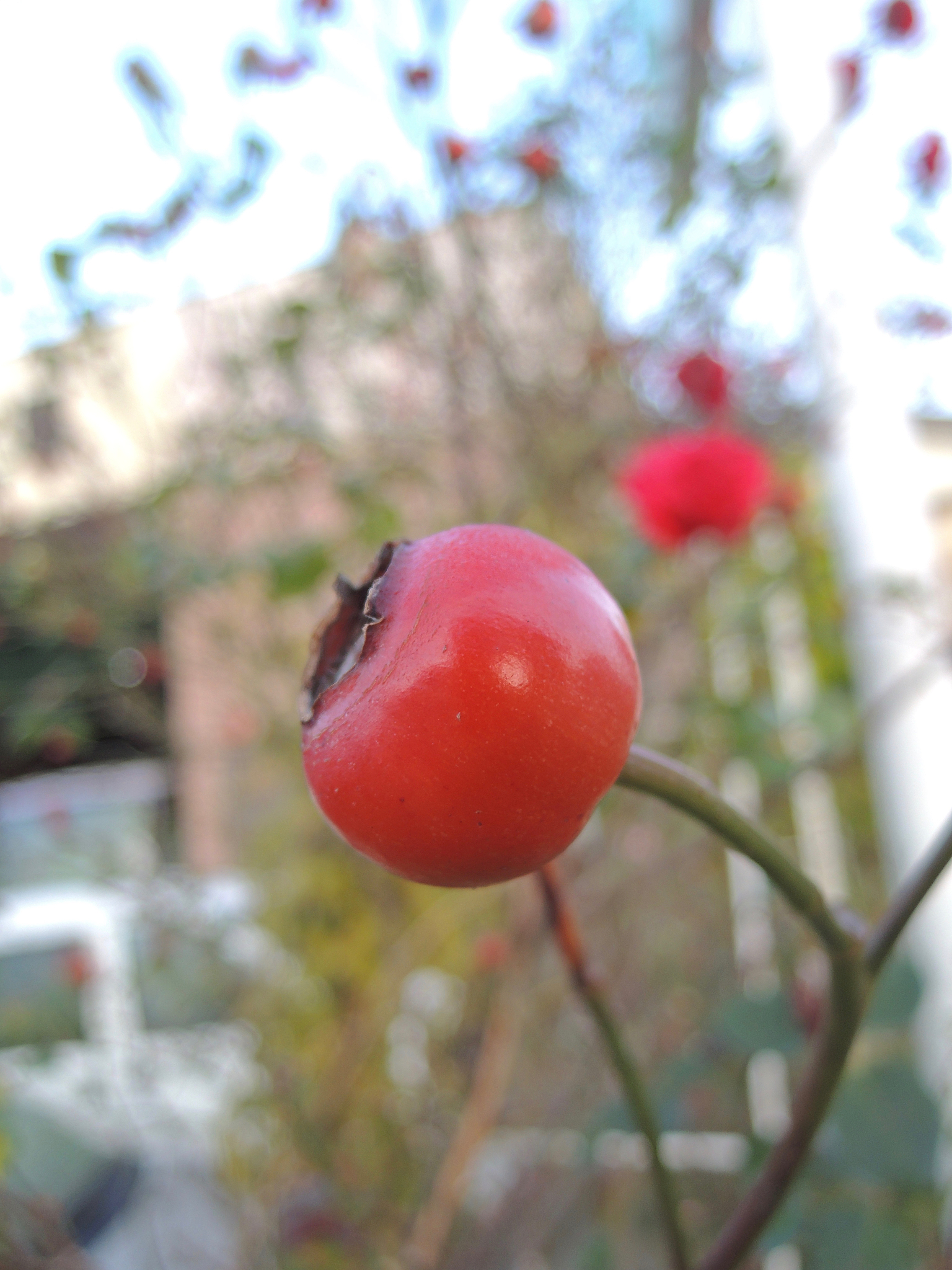 AIとの効果的なコミュニケーションガイド: シンプルで明確なやり取りのコツ