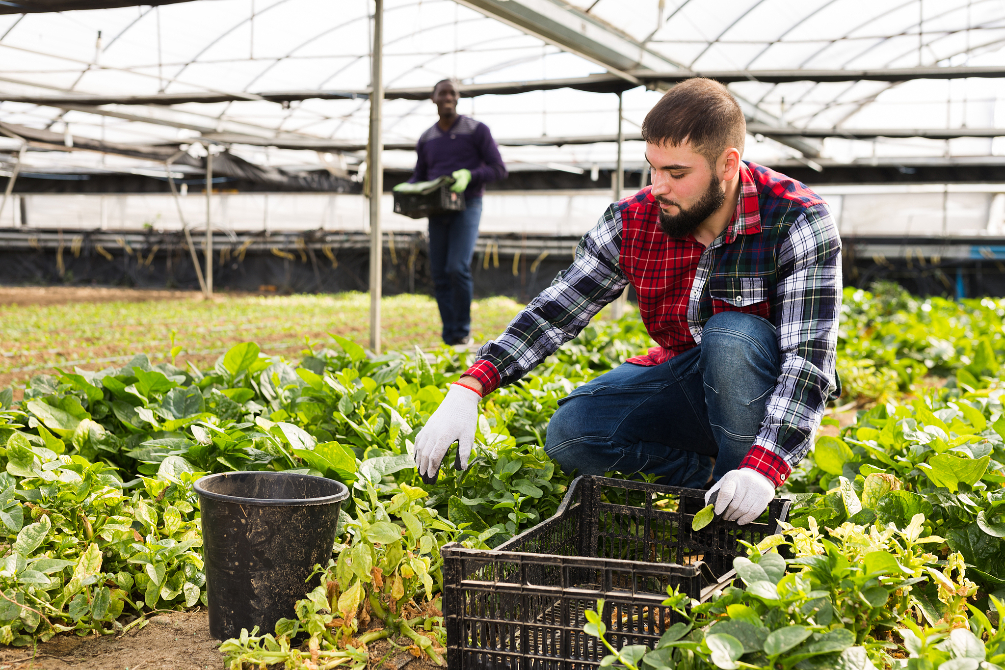 濮阳县职业技术学校现代农业专业