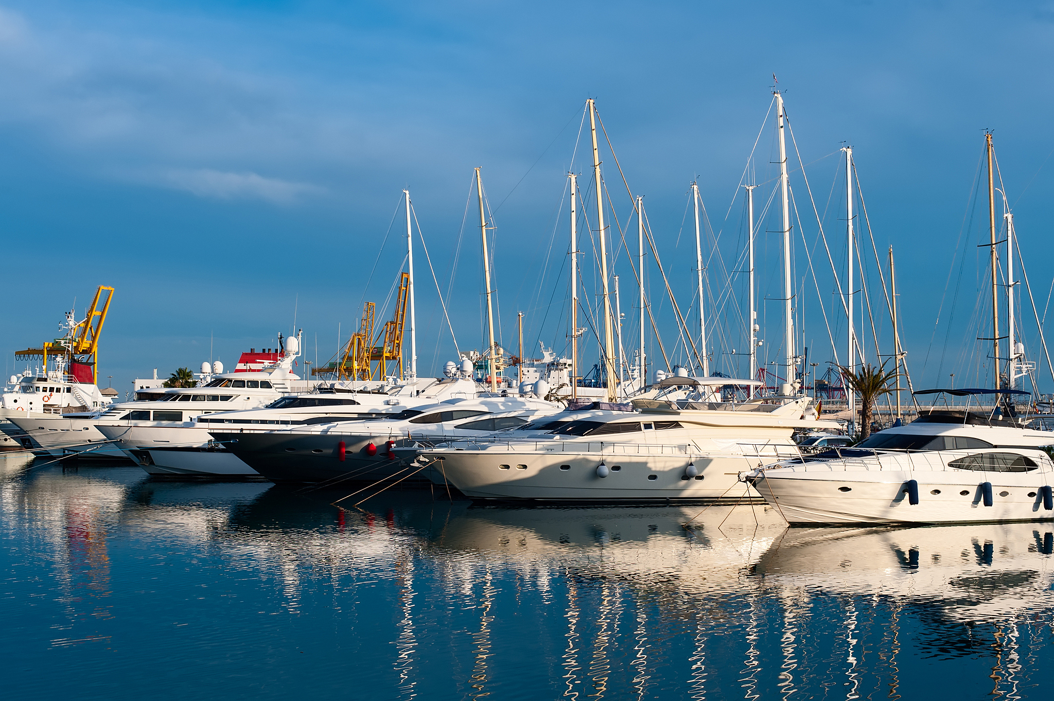 marina in valencia