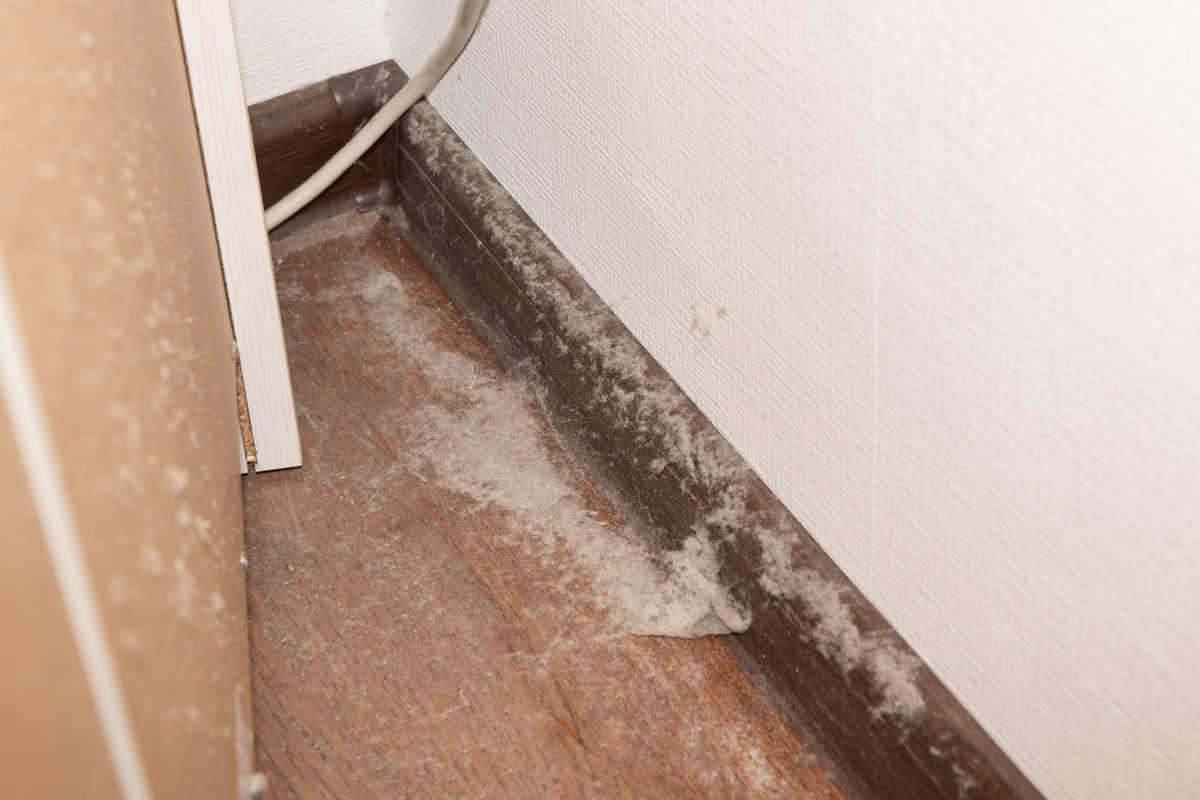 木质踢脚线大概多少钱一米？