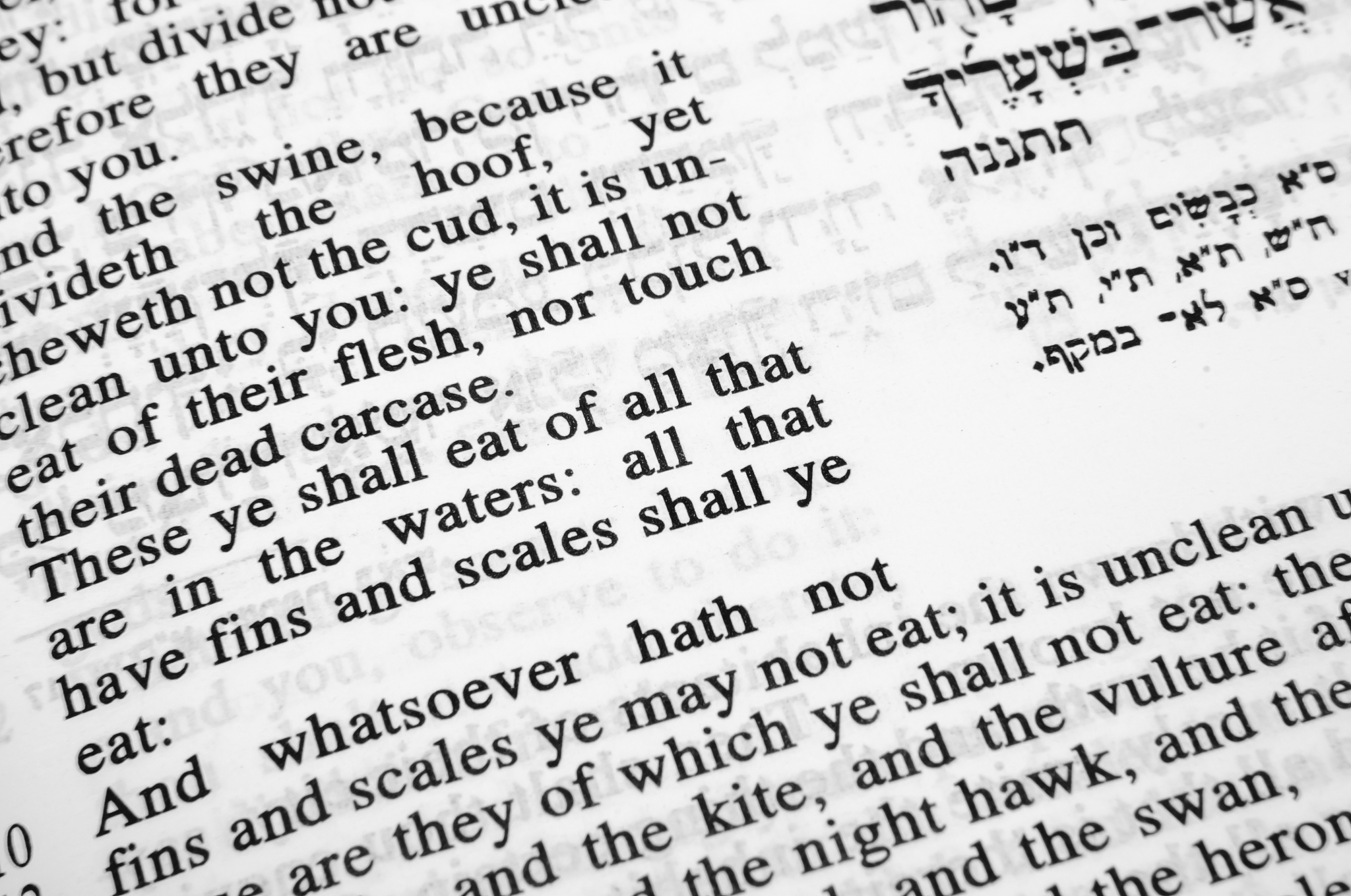 更喜八字进门来足是什么动物 用250字帮我描述