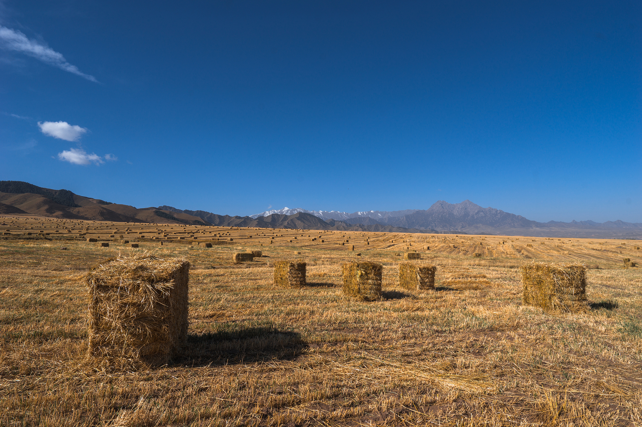 陕西正大技师学院的农业机械使用与维护介绍学习哪些课程