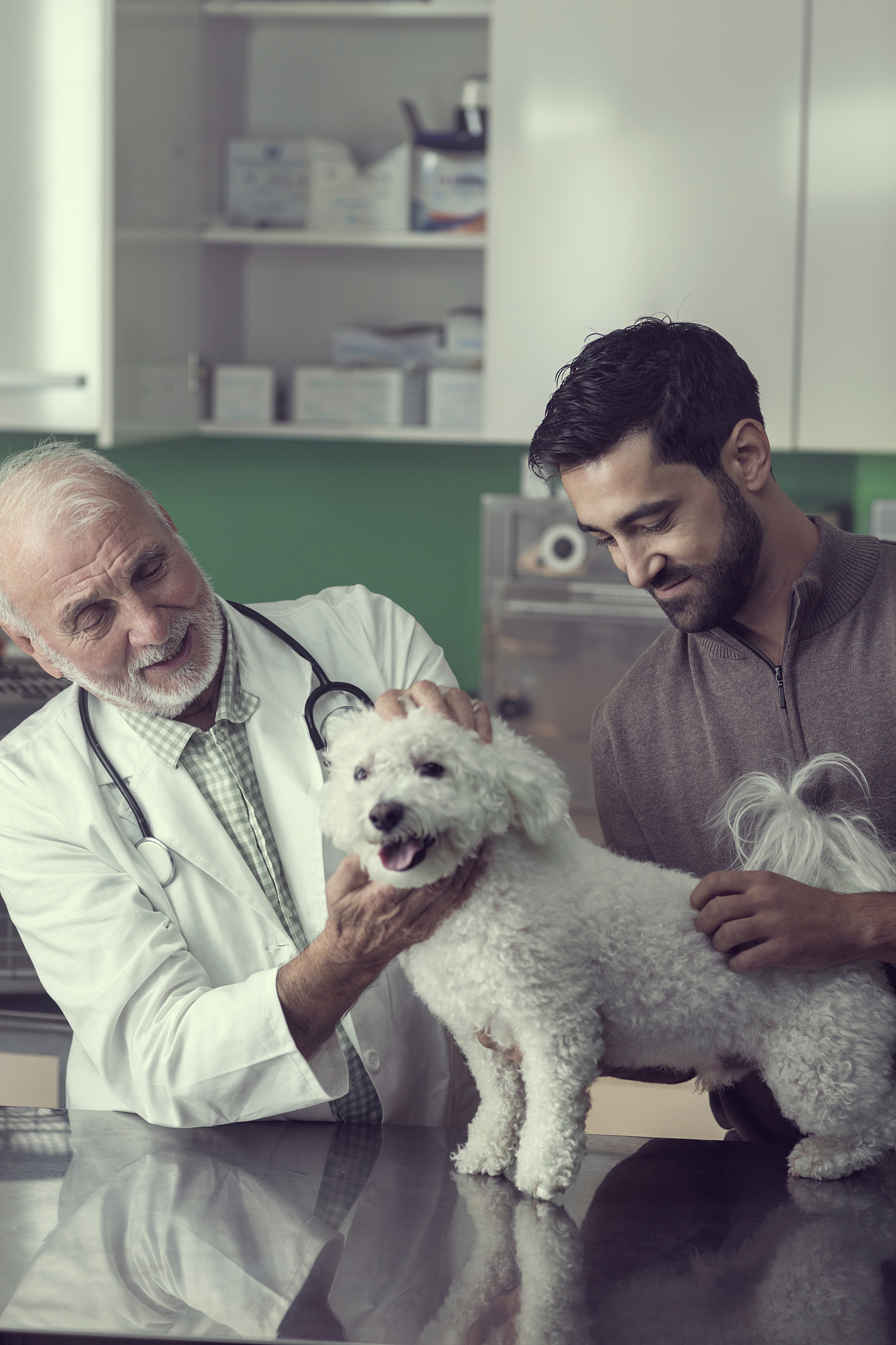 帮我想几个关联度较高的宝可梦集换式卡牌游戏道馆名称