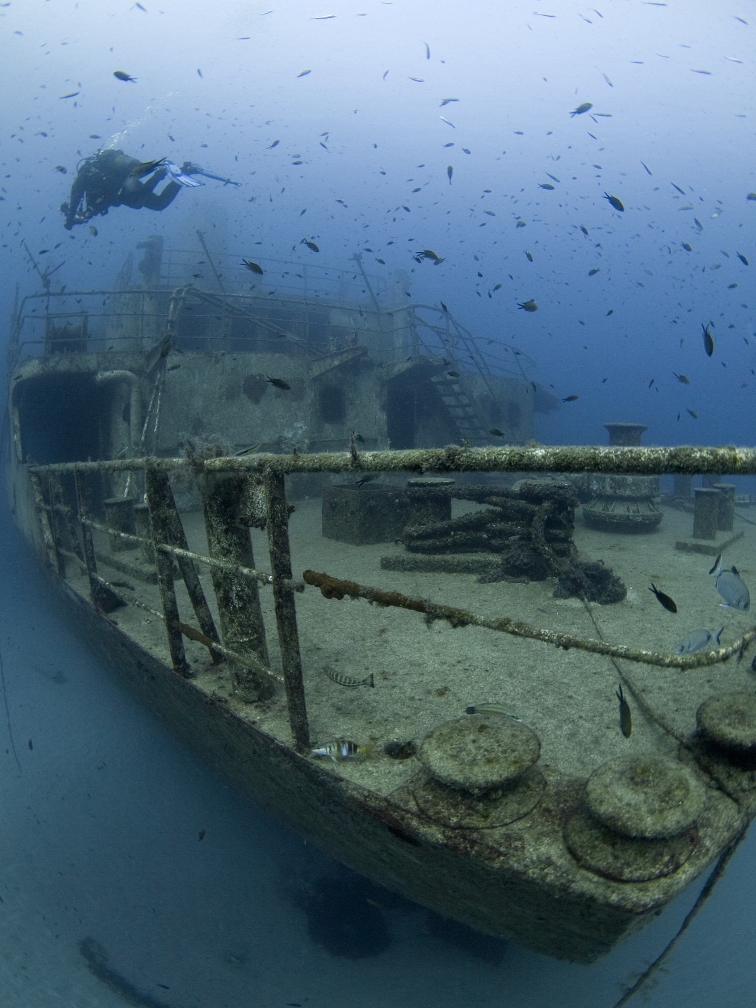 scuba diver & shipwreck