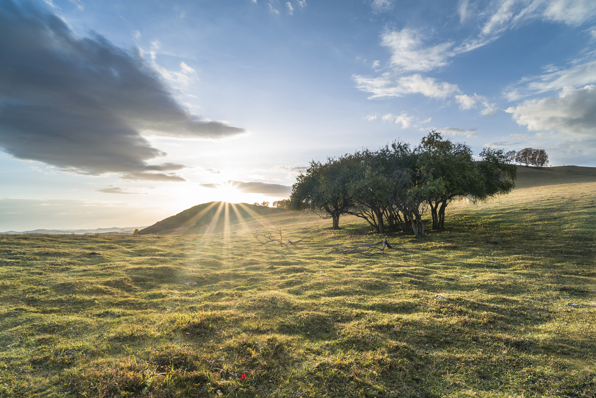 以《会心之乐》为题写一篇800字的作文
