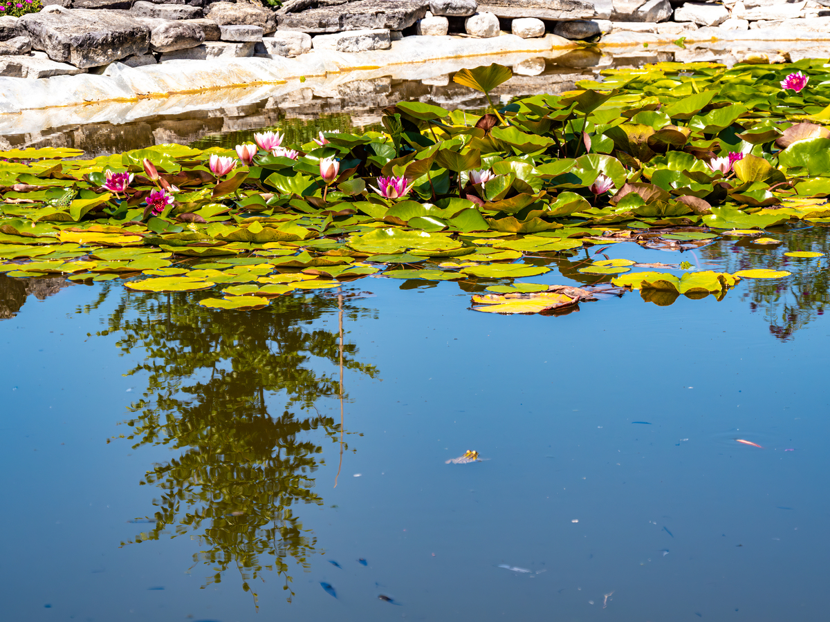 写一段优美的环境描写