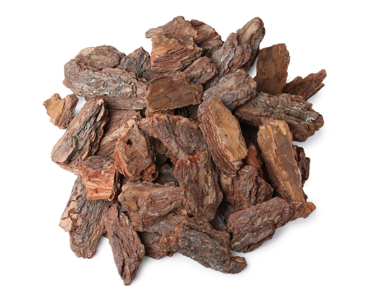 枸杞和什么一起吃补肾效果好