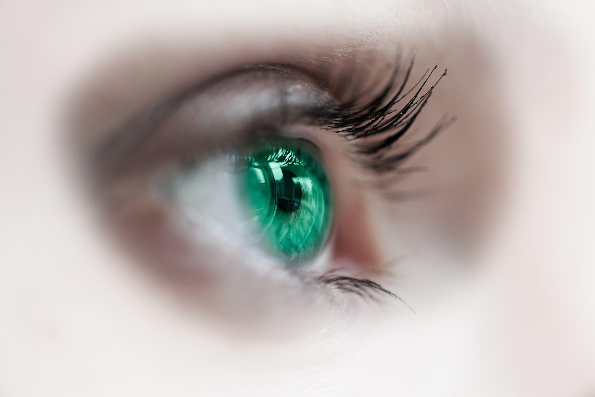 green eye-macro