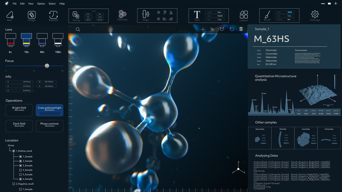 Mycelia是什么？相关文献有哪些？作者是谁？在哪里发表？