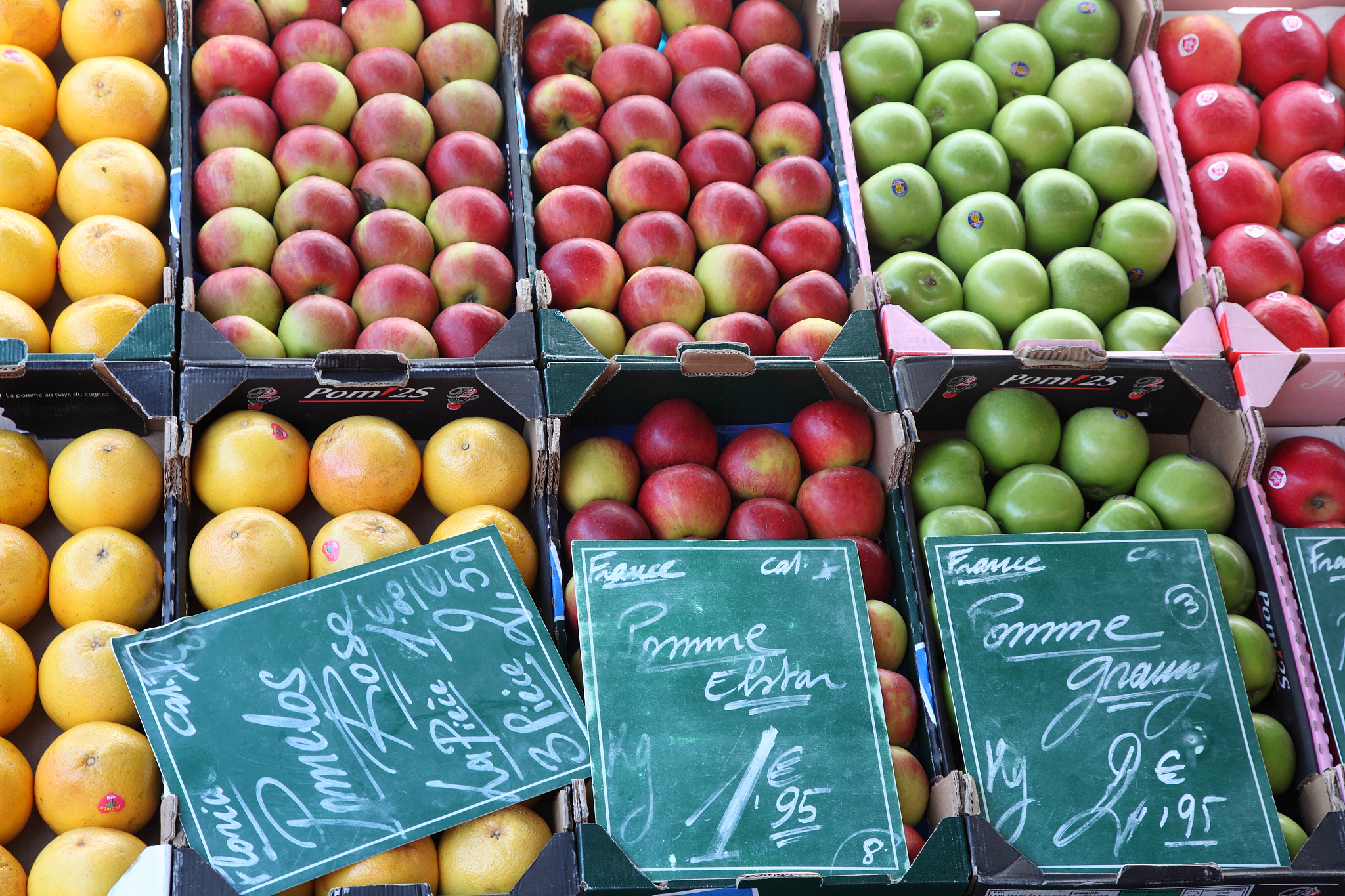 Coliman-Allfresch Ltd Files USD 12,119.64 Claim for Fruit Damage Due to Temperature Fluctuations