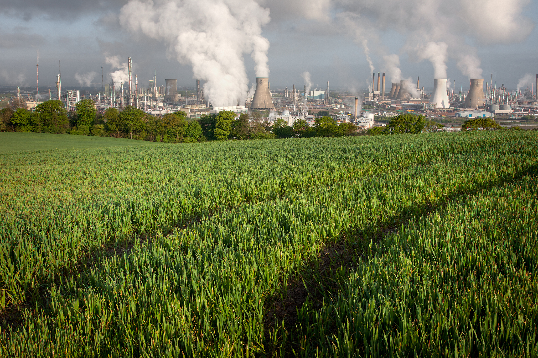 翻译：Crop intensification is often thought to increase greenhouse gas GHG emissions butstudies in which crop management is optimized to exploit crop yield potential are rareWe conducted a field study in
