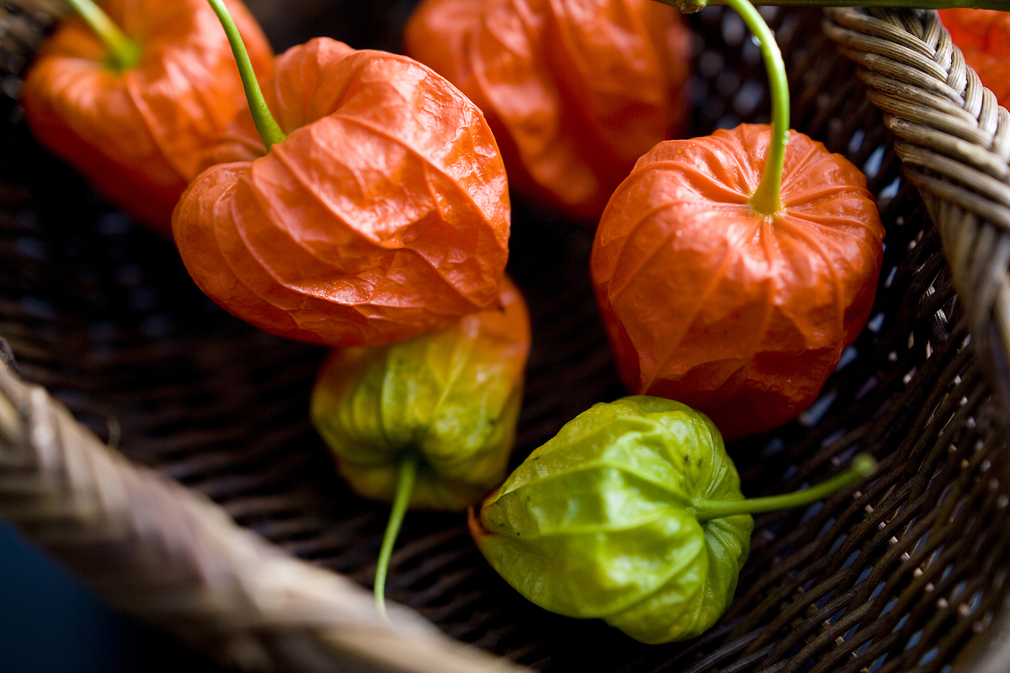 KY603 Folding UAV:  Unleash Your Aerial Photography Potential!