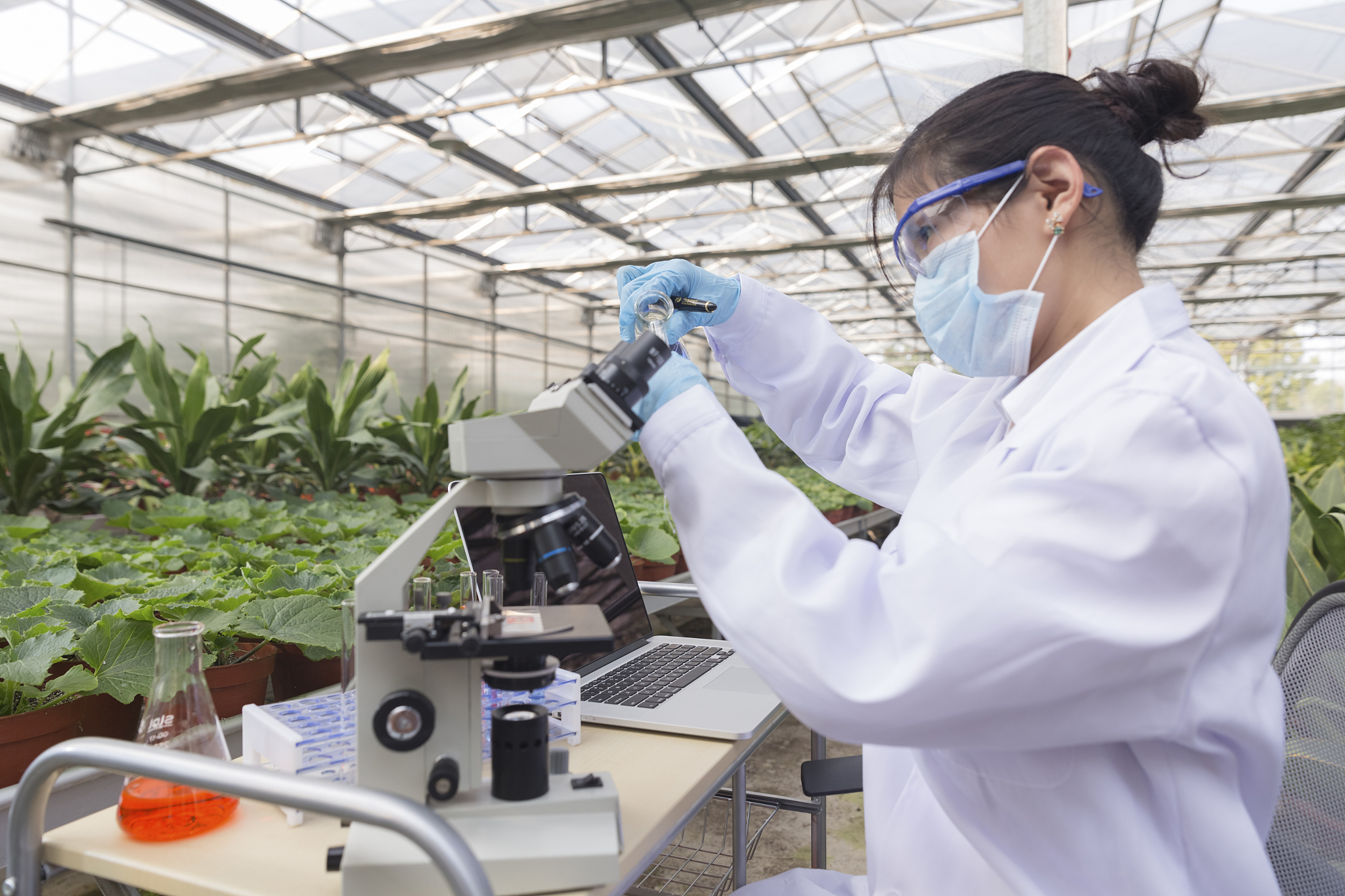 环境科学与健康杂志B卷：农药、食品污染物和农业废物研究期刊