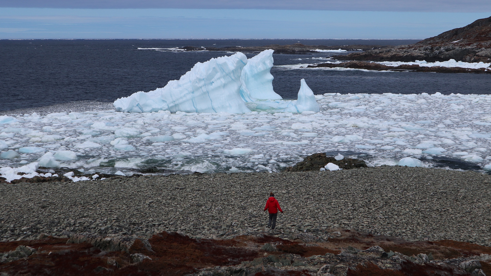 加拿大北部生存挑战：极端天气、资源匮乏和脆弱生态