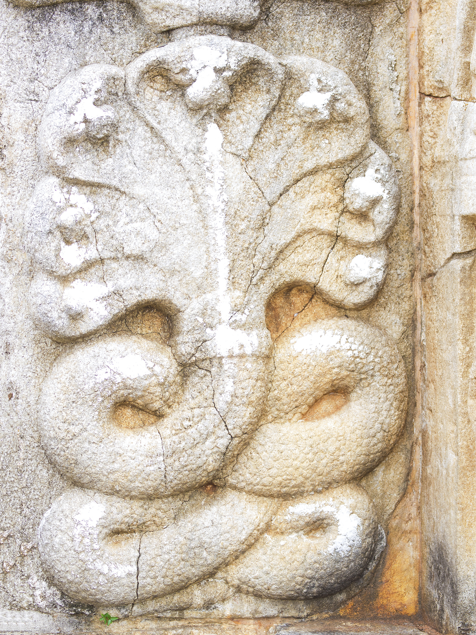 Maya 软件工程文件：重要性、功能与优势 | 3D 建模与动画