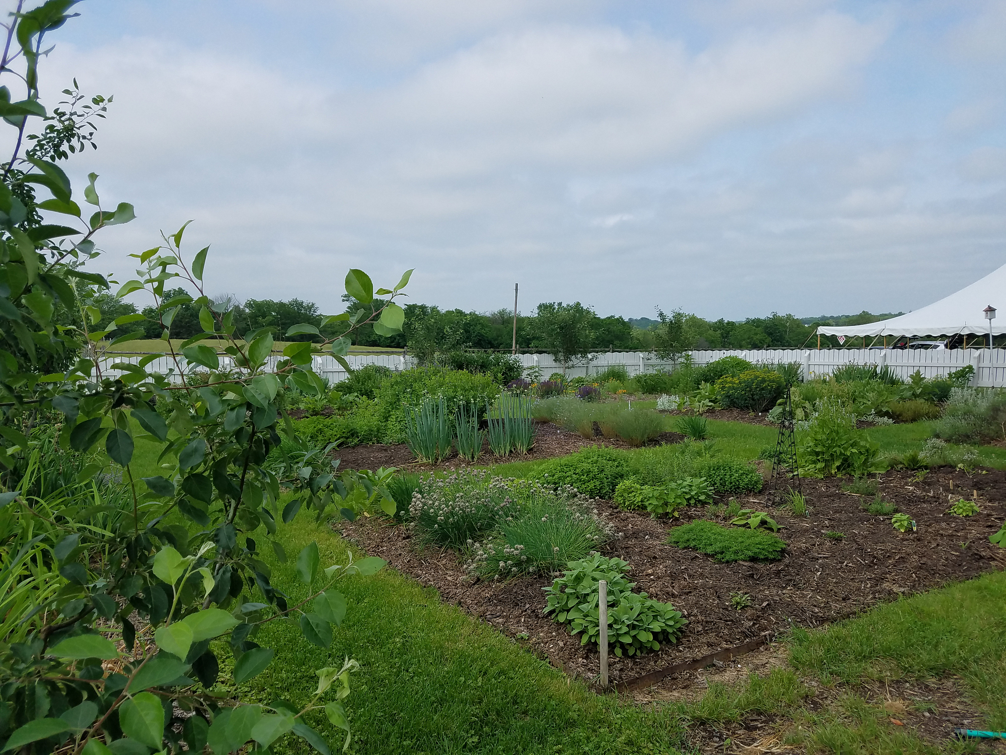 Plant Breeding and Modern Agriculture: Applications of [Your Technology/Topic]