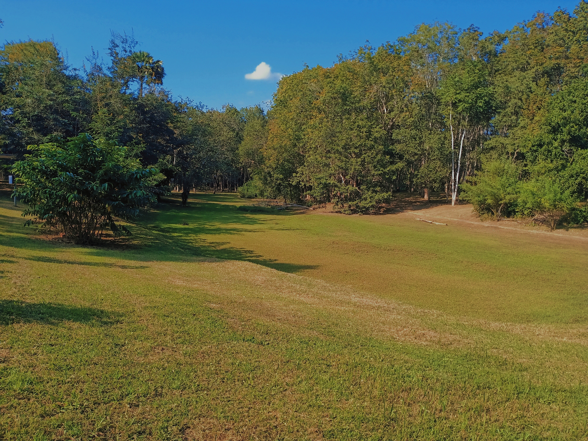 GRASSLAND SCIENCE期刊：探索草地科学的深度与广度