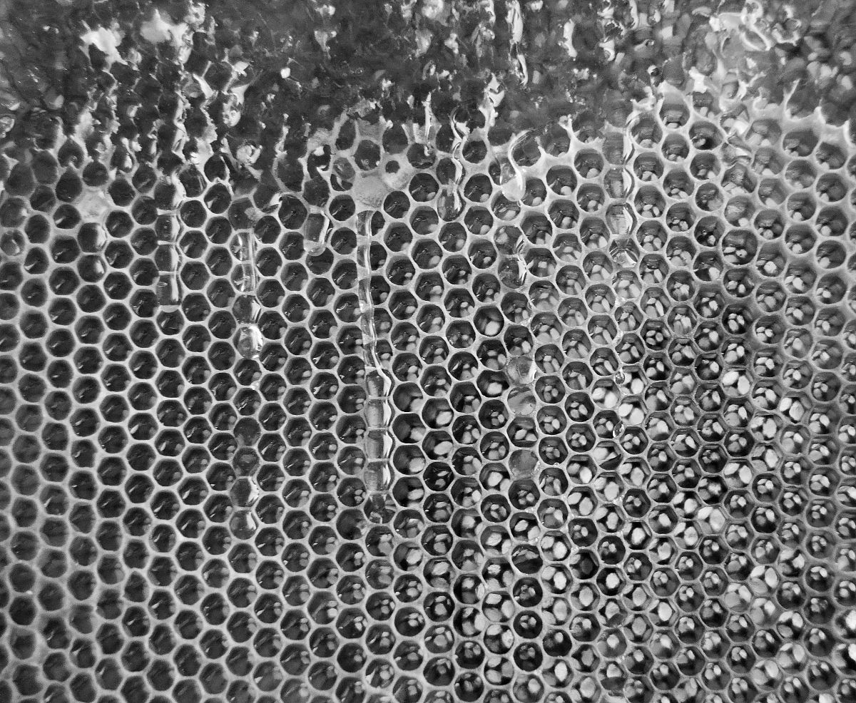 生物炭复合材料制备的展望