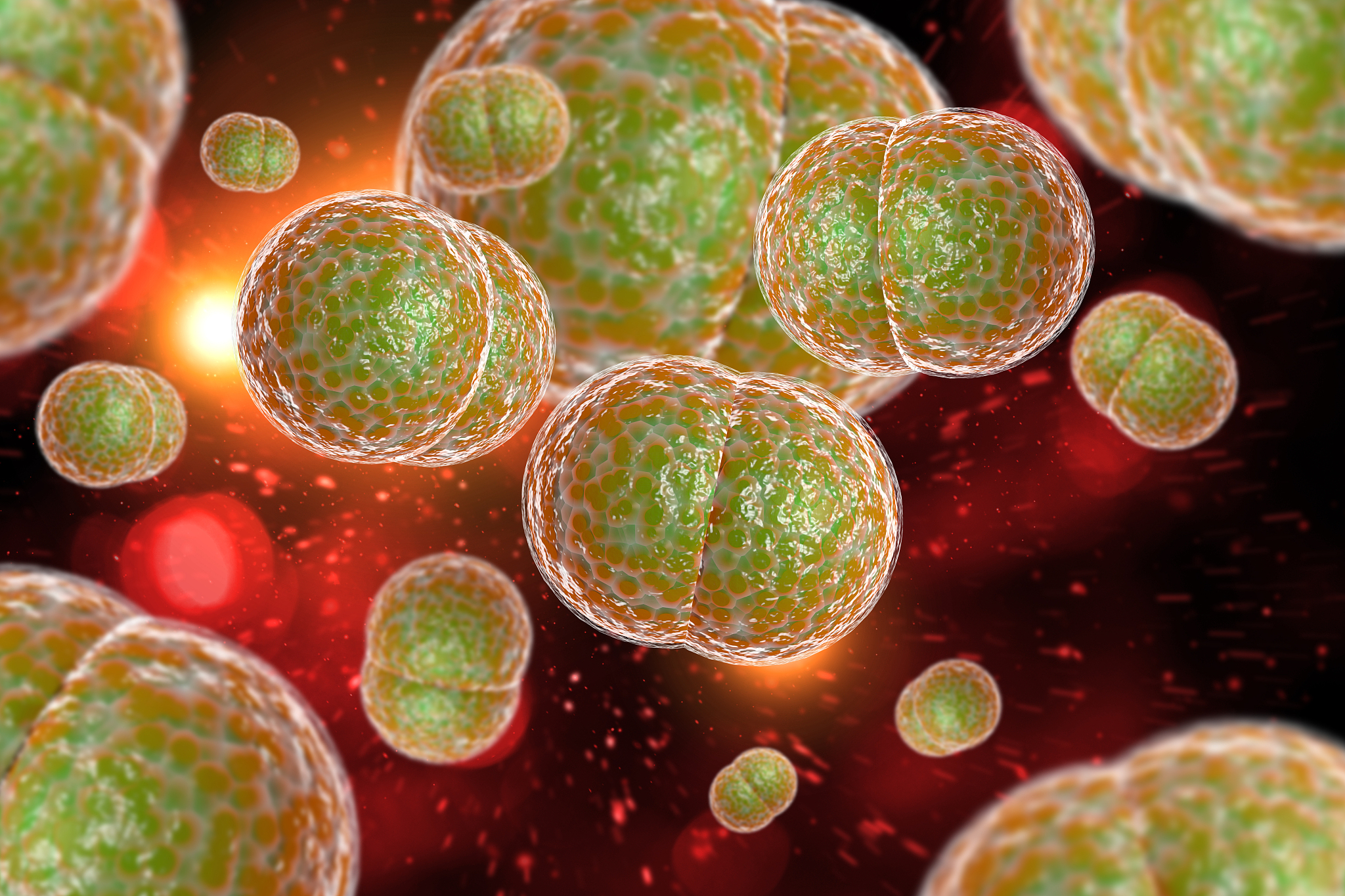 针对和参考人类与微生物微生物的发现和微生物学的建立与发展和微生物的类群及特点写一份300字的学习总结