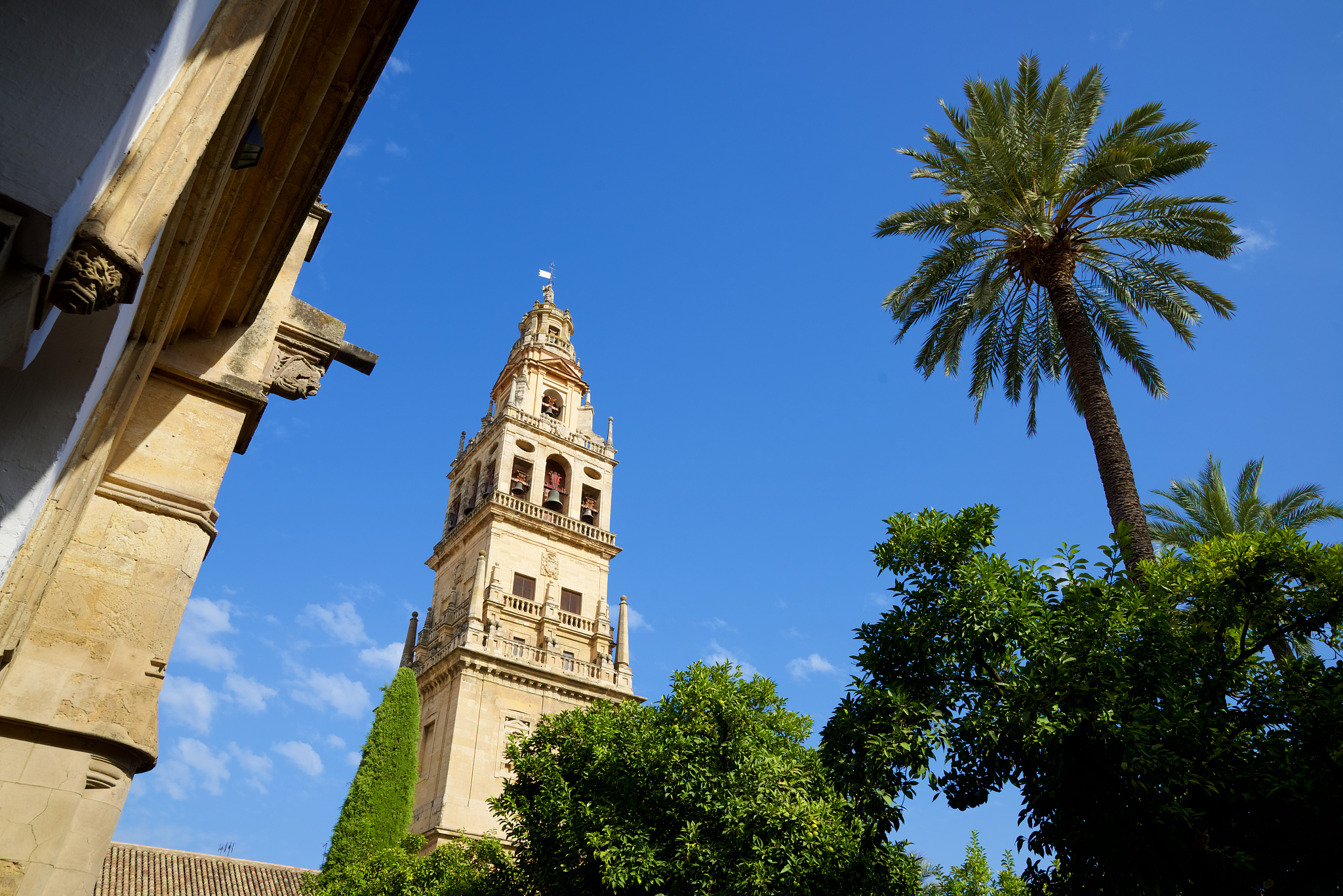 cordoba mosque