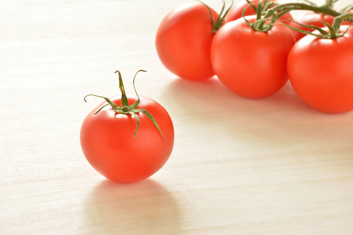 子洲县富发公司黄芪产品品牌形象塑造策略